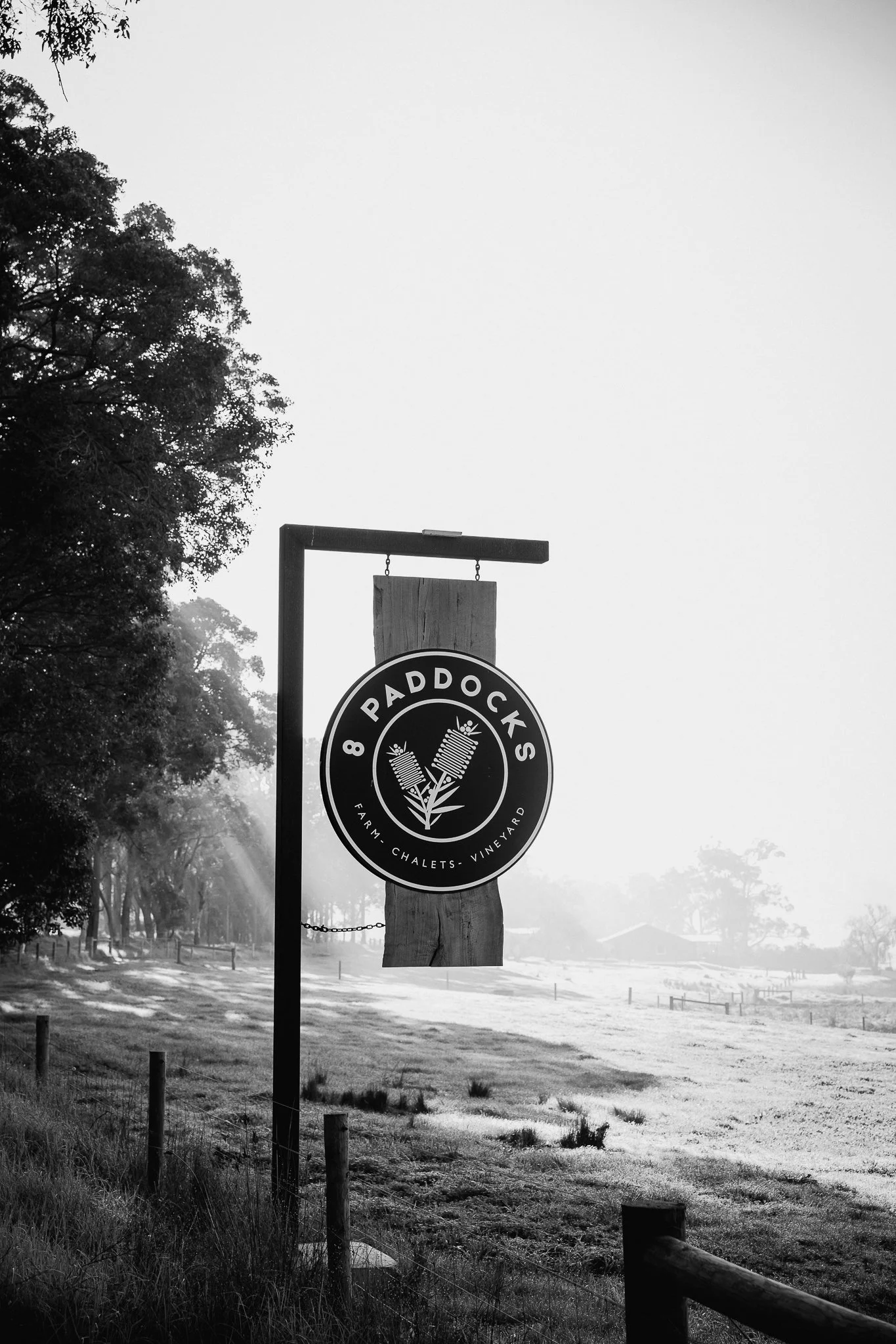 lizzieWilkiePhotos-54.jpg