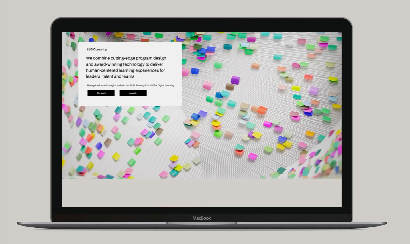 Ludic Group. Brand strategy, brand architecture, UX design strategy, brand design system across CX, education and product.