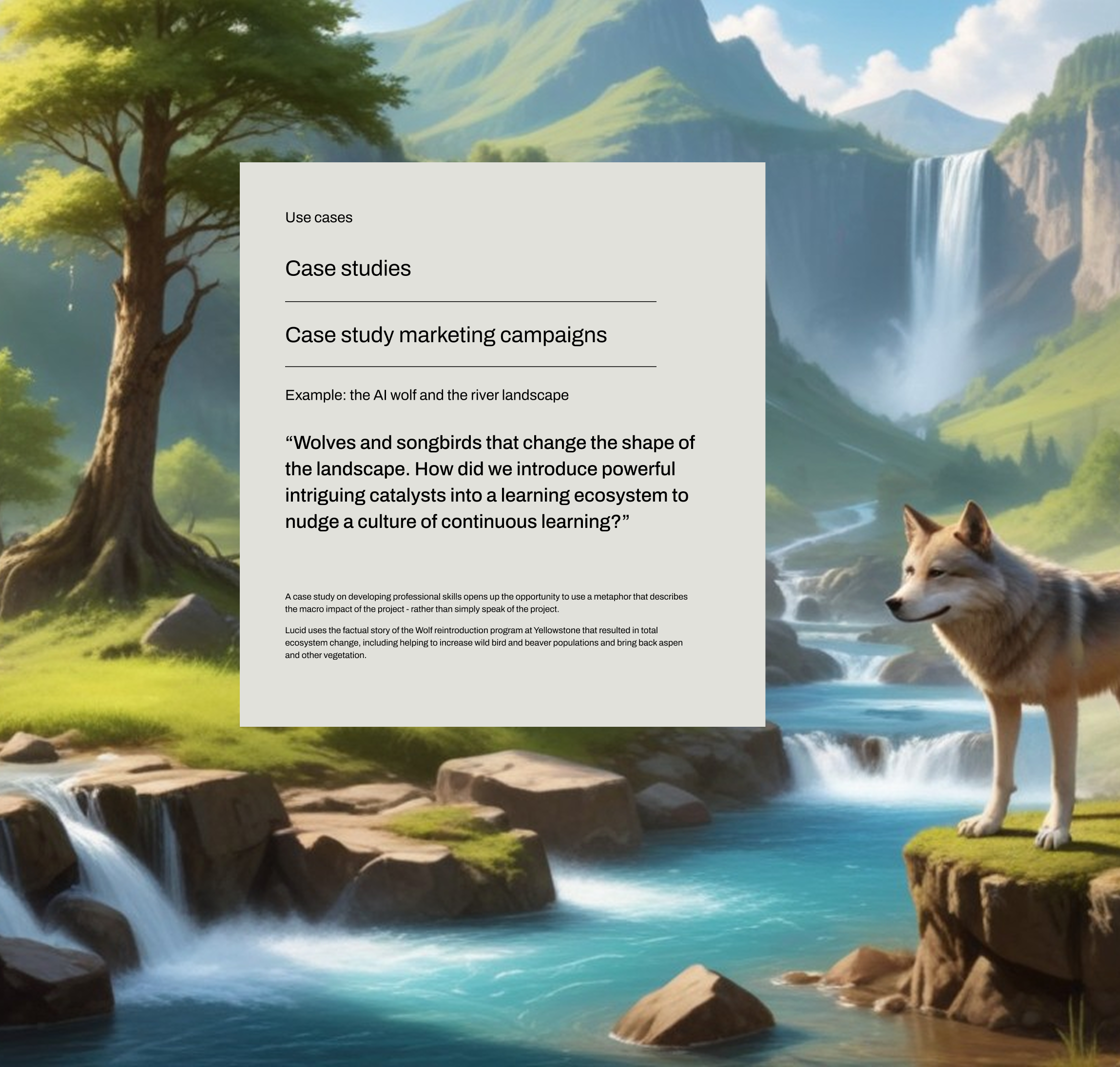 Group 2147204568.png