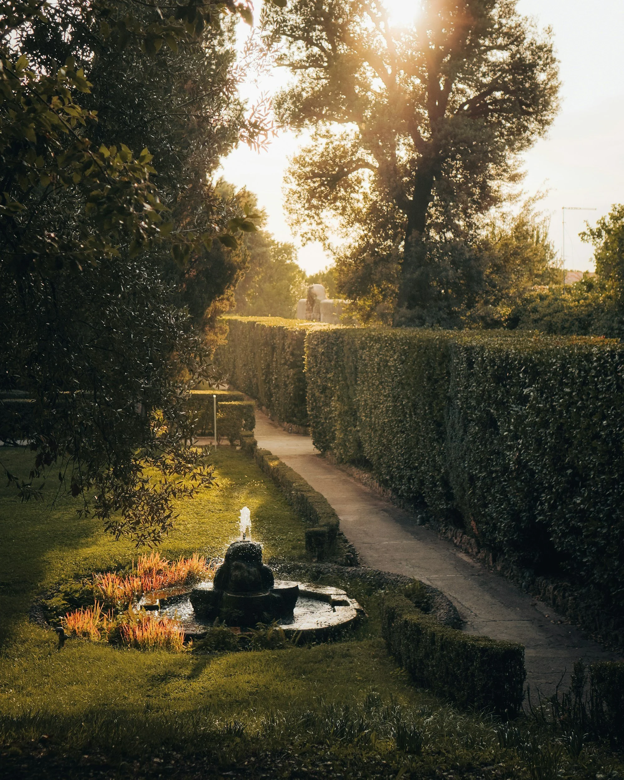 Professional garden tidy up and leaf clearance service in Aberdeen