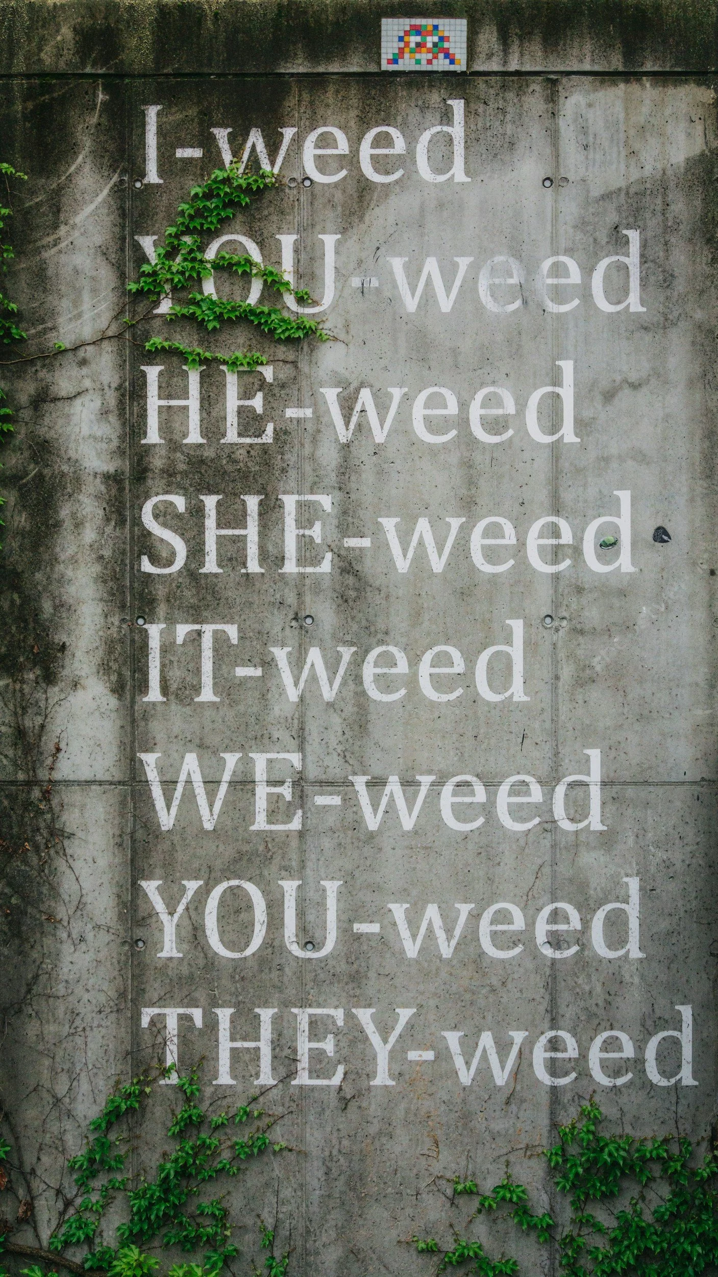 Professional garden weeding and border maintenance in Aberdeen