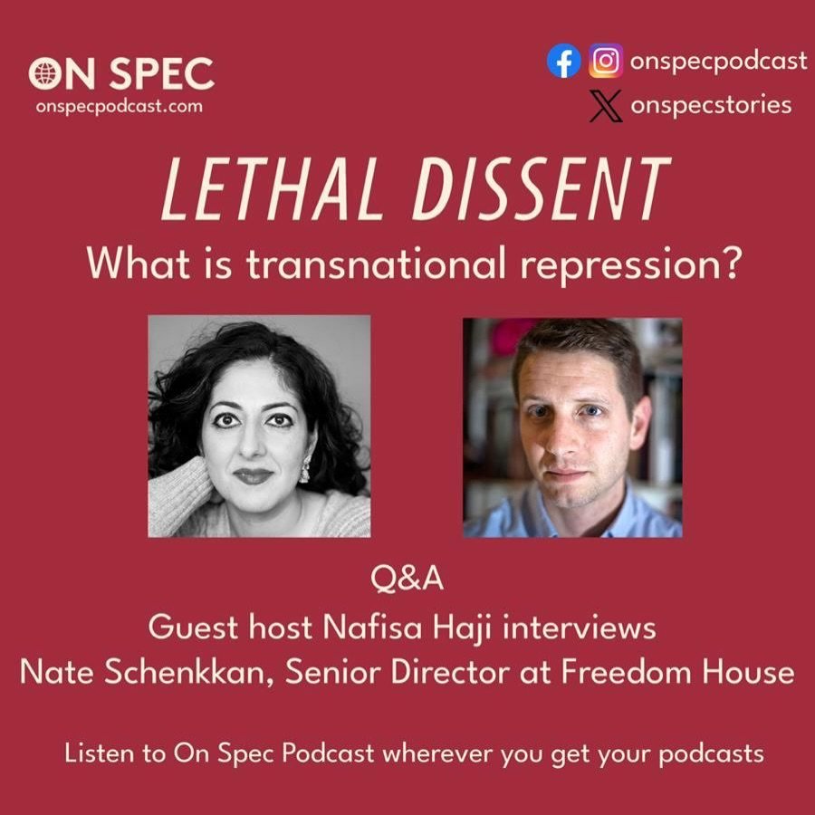 What is Transnational Repression?