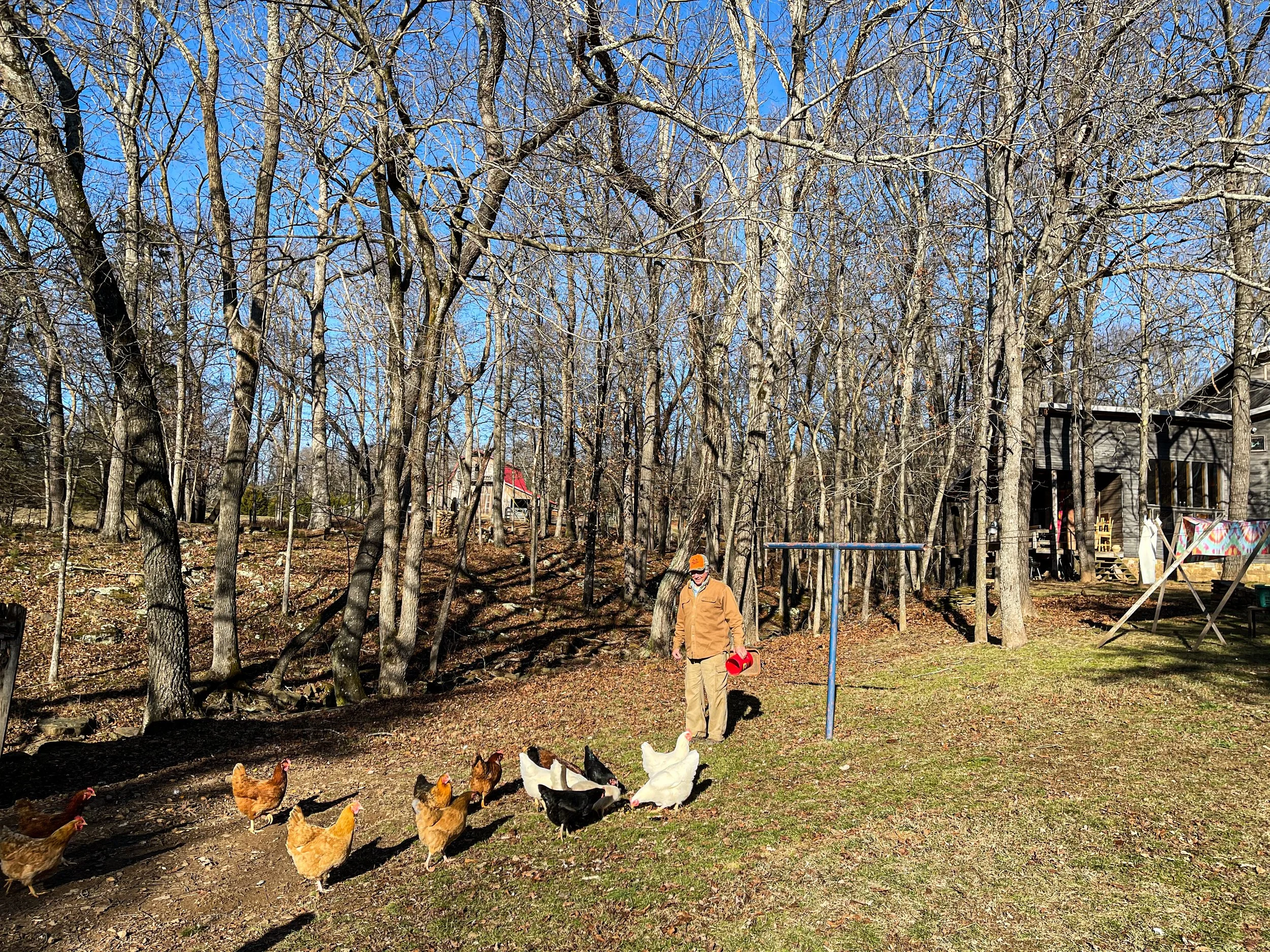 Organic farmer Larry Karigan-Winter feeds his chickens at his home in rural Arkansas.jpg