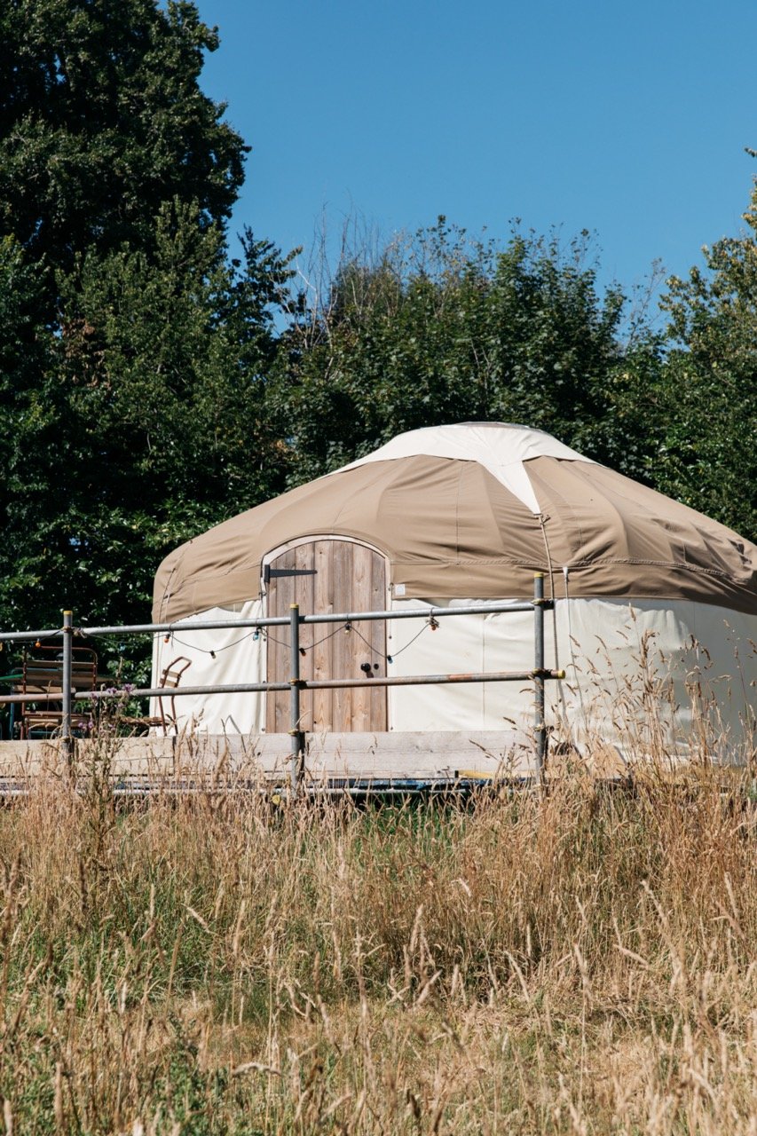 A yurt with a wooden door surrounded by tall grass and trees under a blue sky.