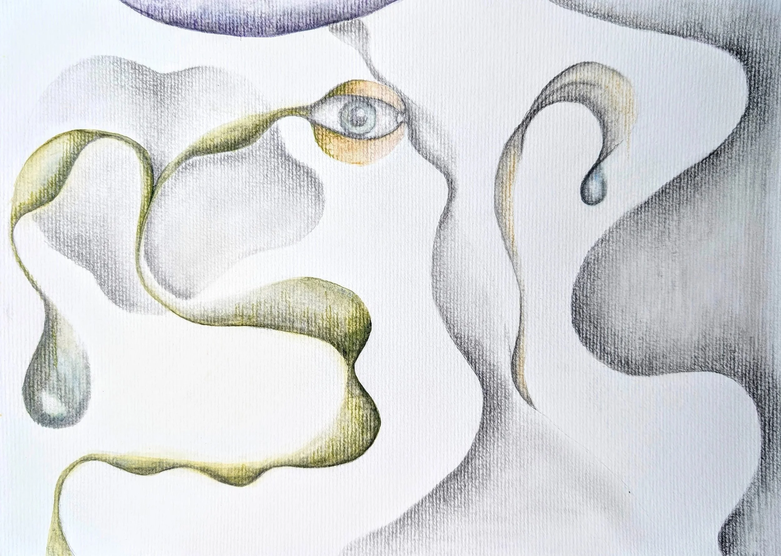 Abstract graphite drawing of curvilinear forms featuring a delicate female profile, an eye, and fluid organic shapes.