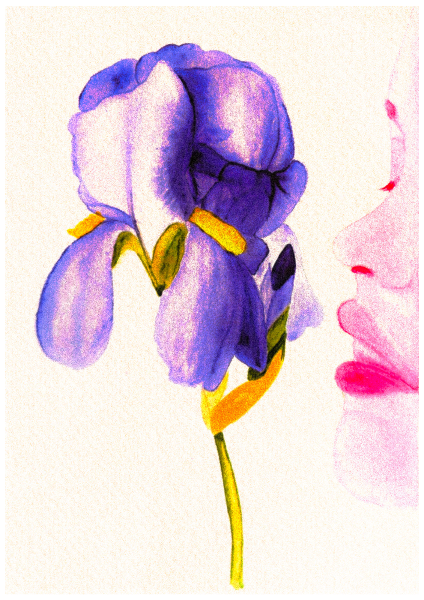 Kiss