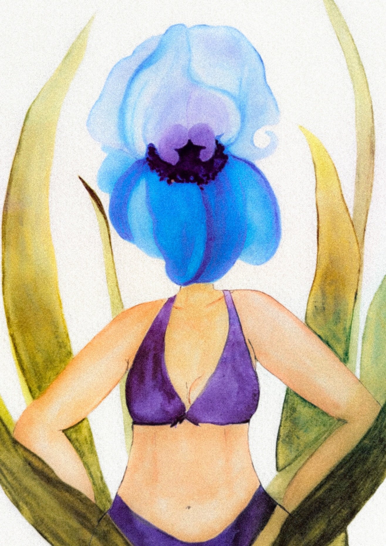 Bossy Iris