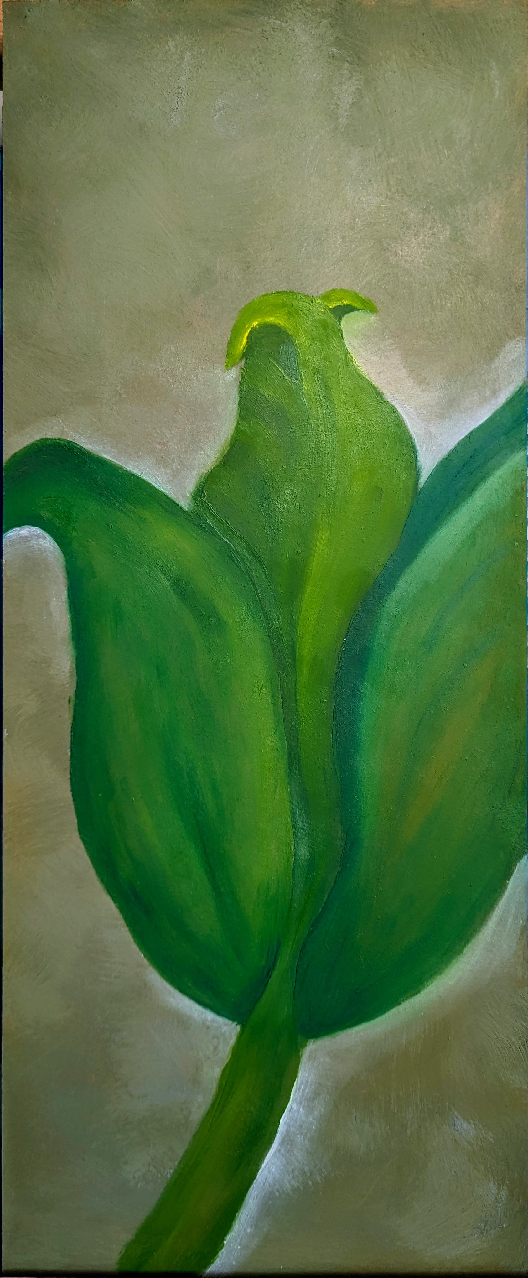 Green Tulip.jpeg