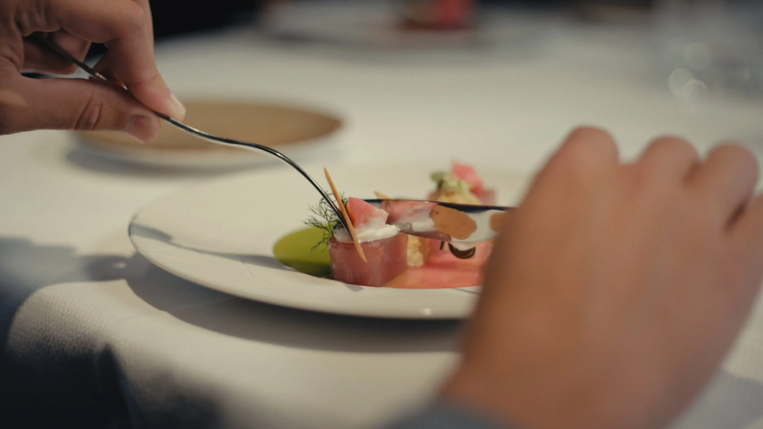 Still 2026-03-02 142201_1.6.1.jpg