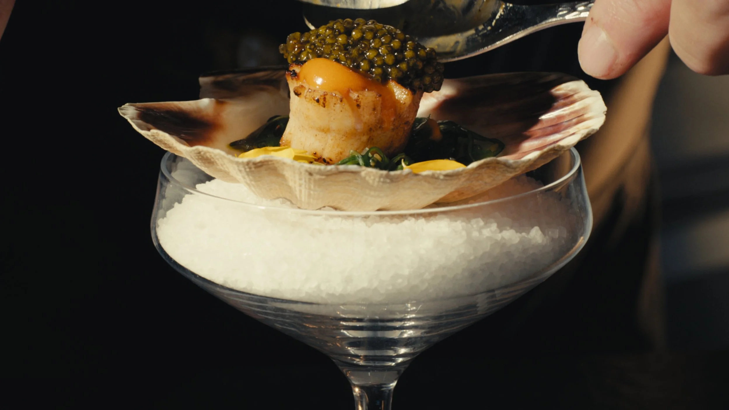 Videoproductie Fine Dining