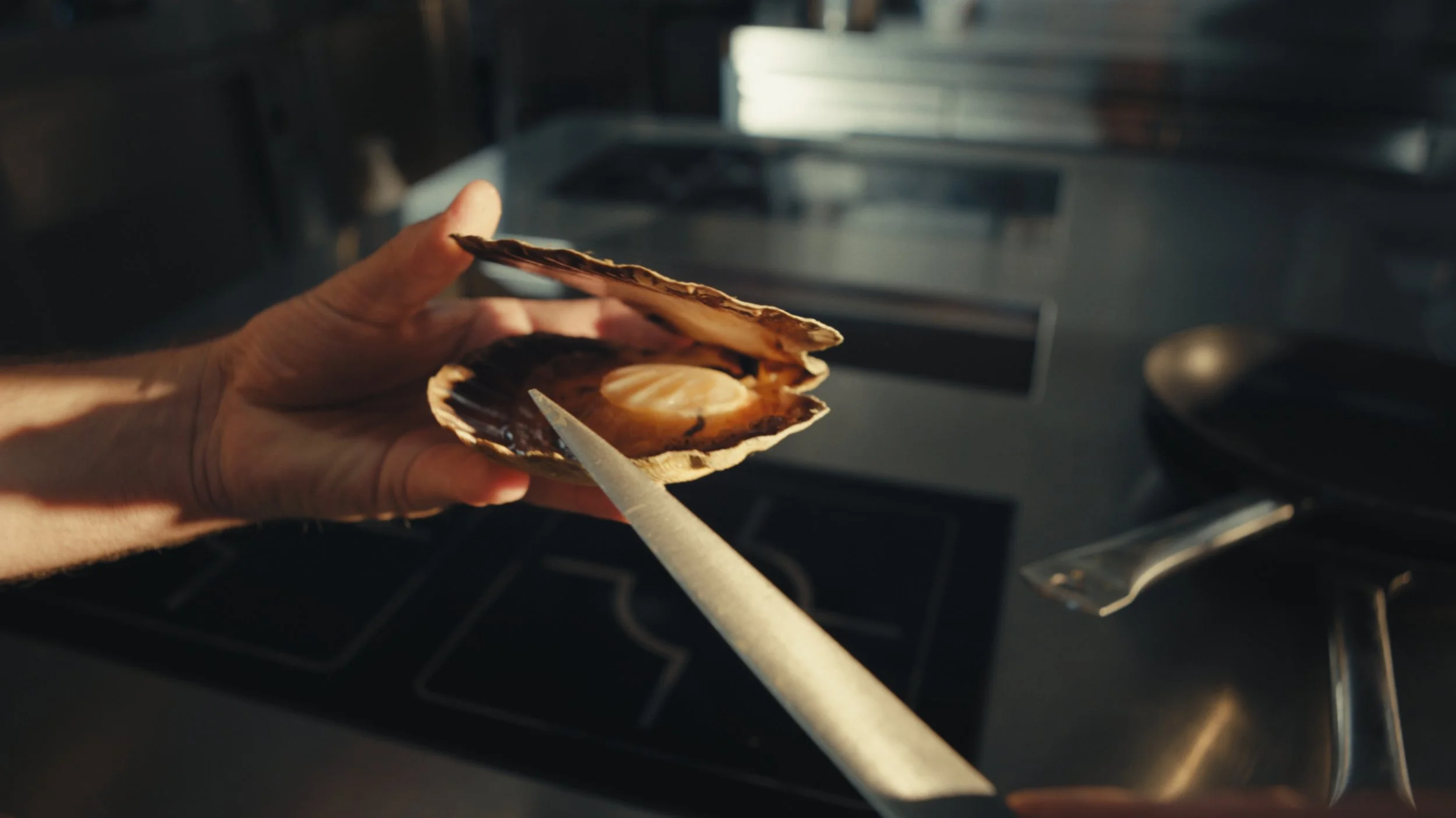 Still 2026-03-02 142201_1.24.1.jpg