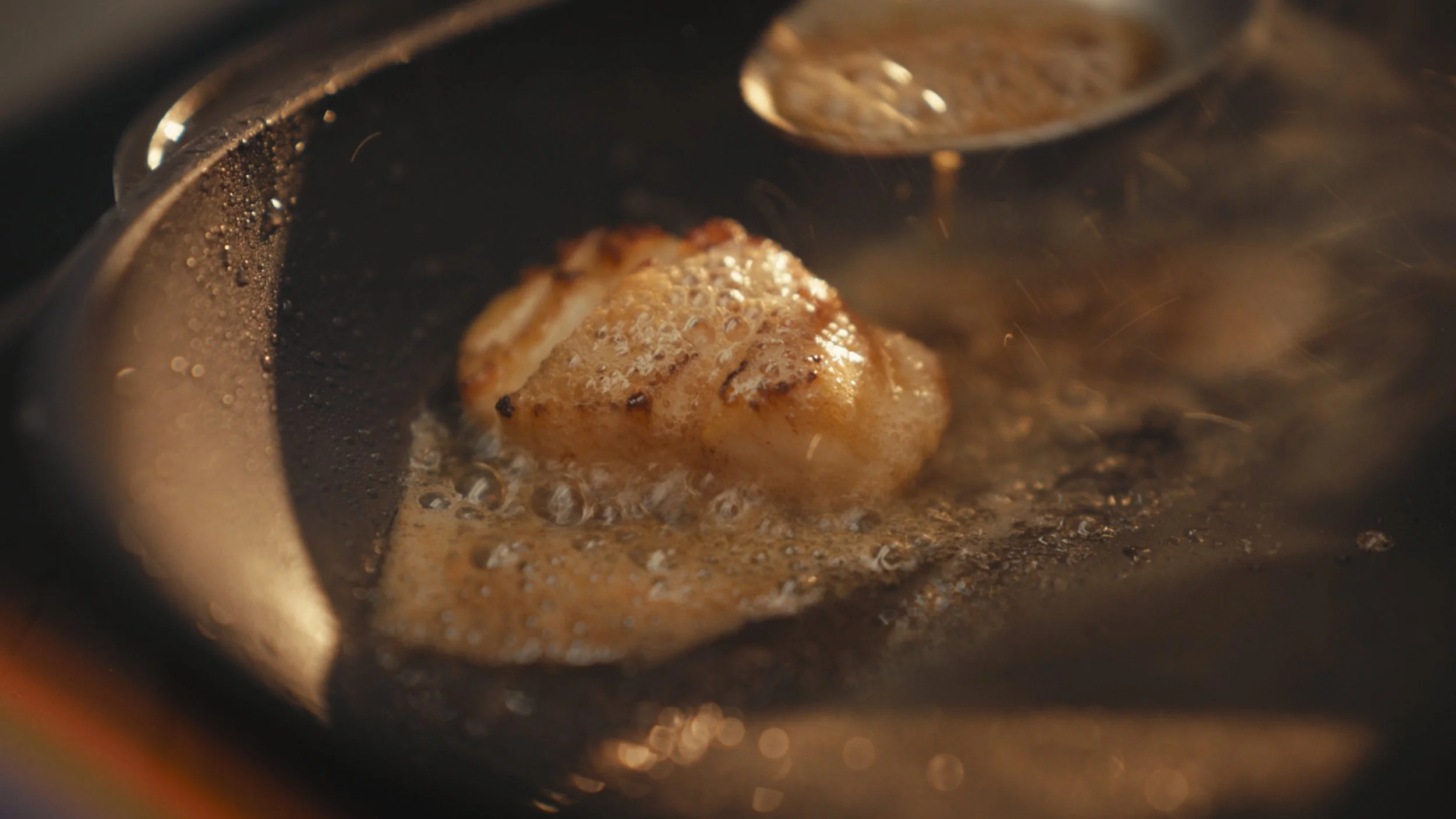 Still 2026-03-02 142201_1.25.1.jpg