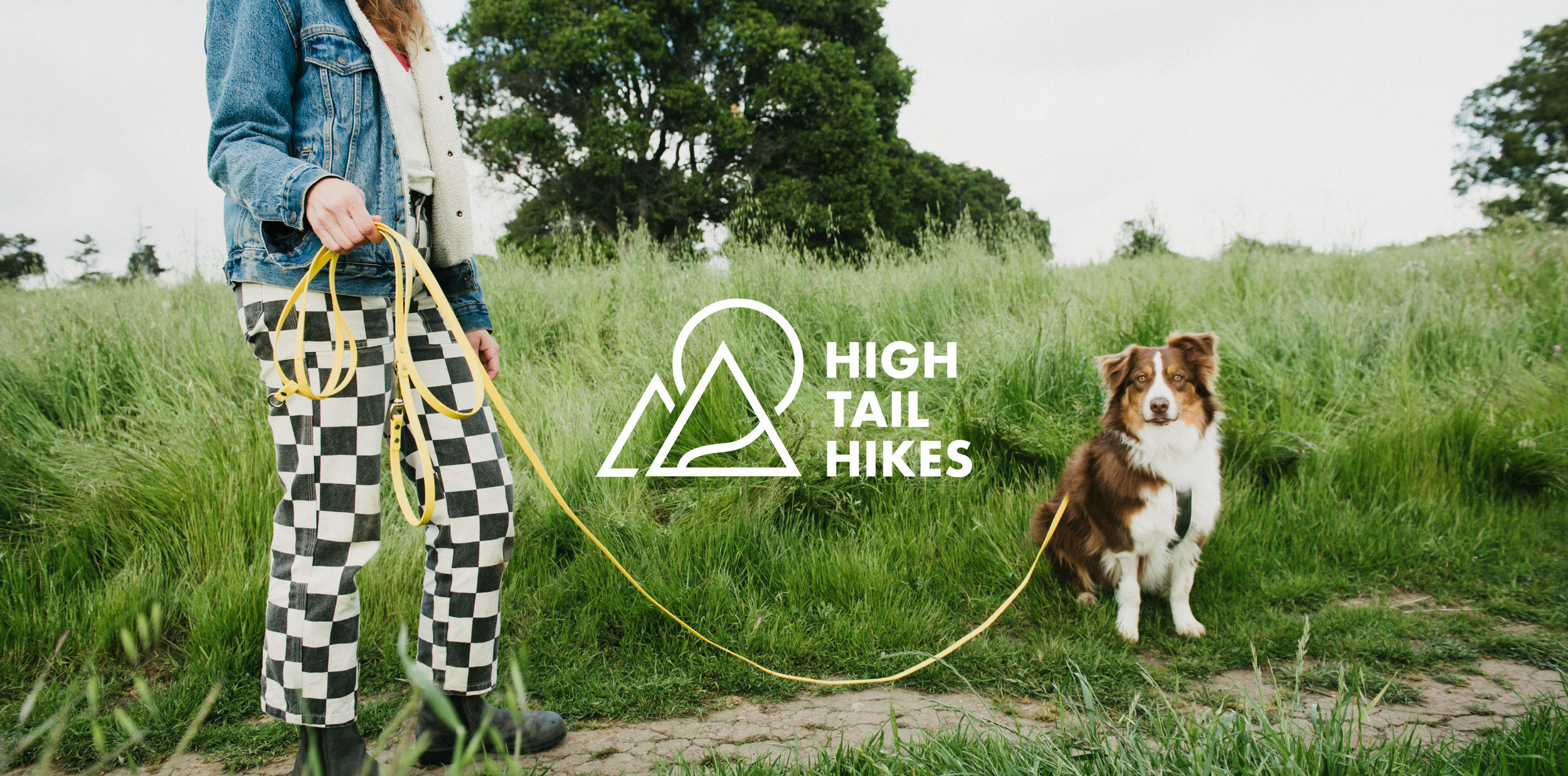 High Tail Hikes: How less became more through thoughtful brand strategy