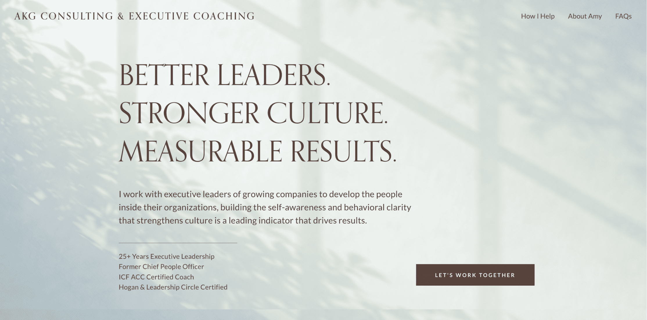 Executive Leadership Coach