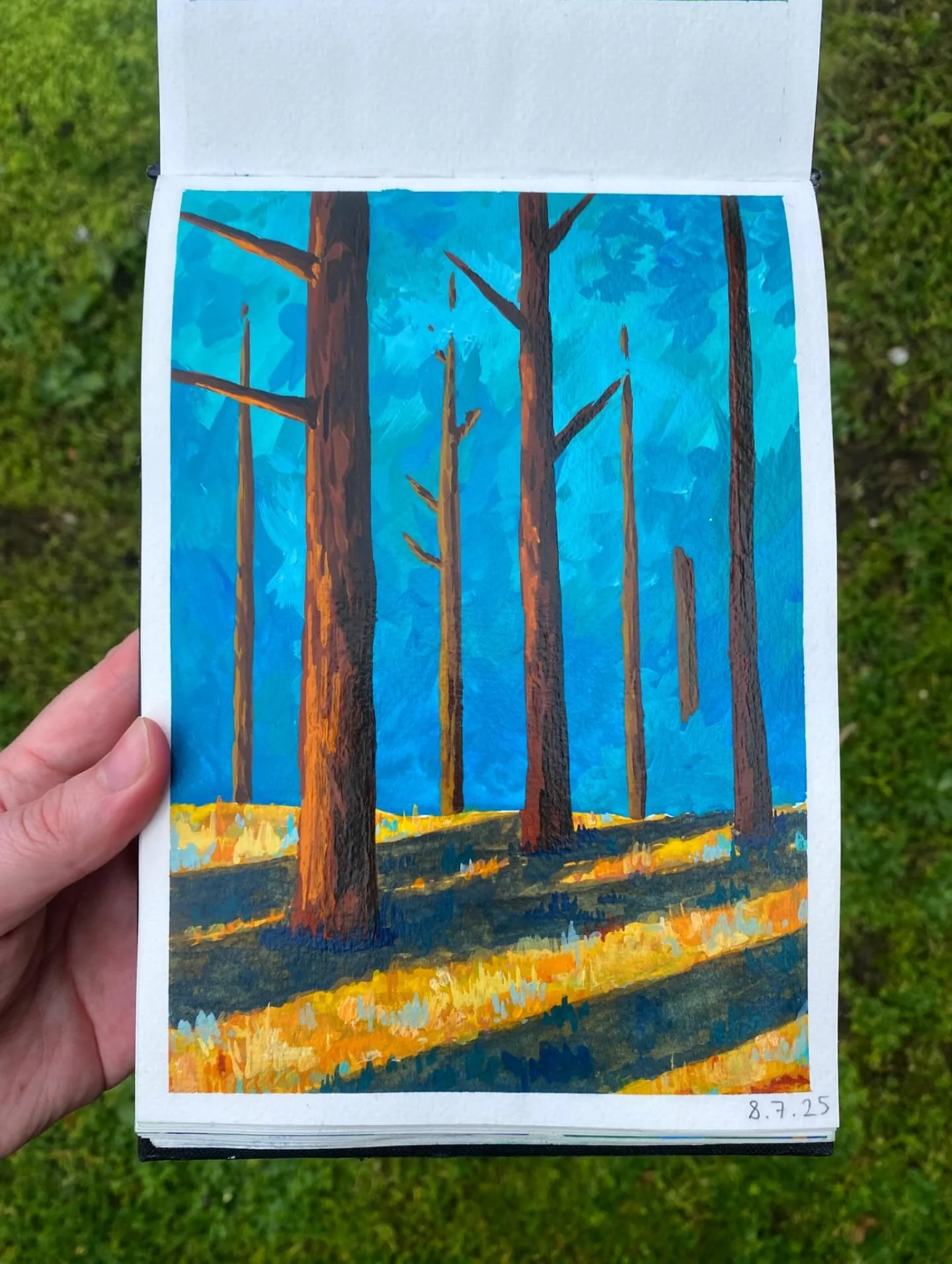 Been painting a lot recently, time to revive this page.
.
.
.
#gouache #gouachepainting #illustration #artist #painter #artoftheday #watercolour #landscape #landscapepainting #aotearoa #newzealand #forrest #sketchbookart