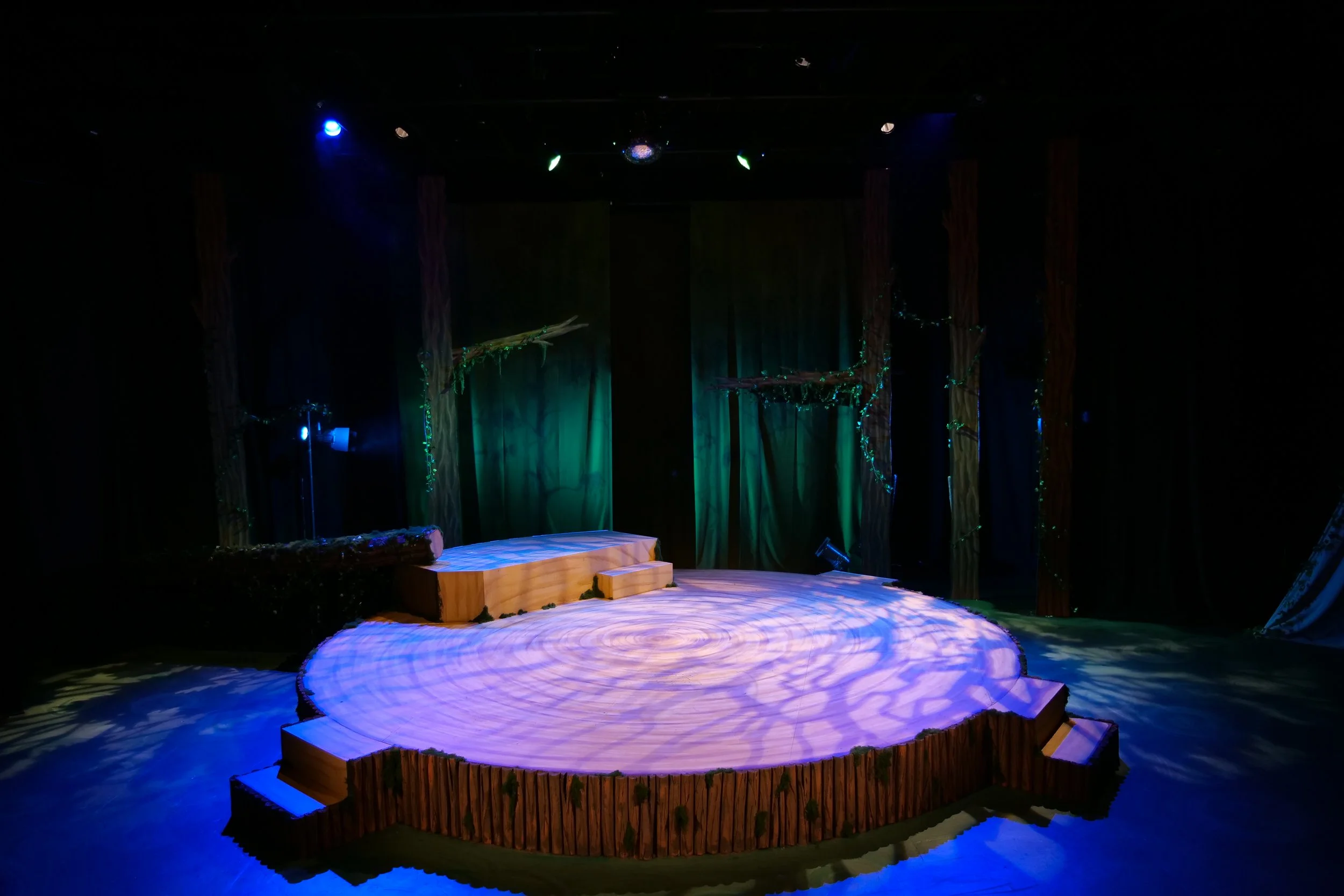 Robin Hood The Pantomime__Maeve O’Connell-2.jpg