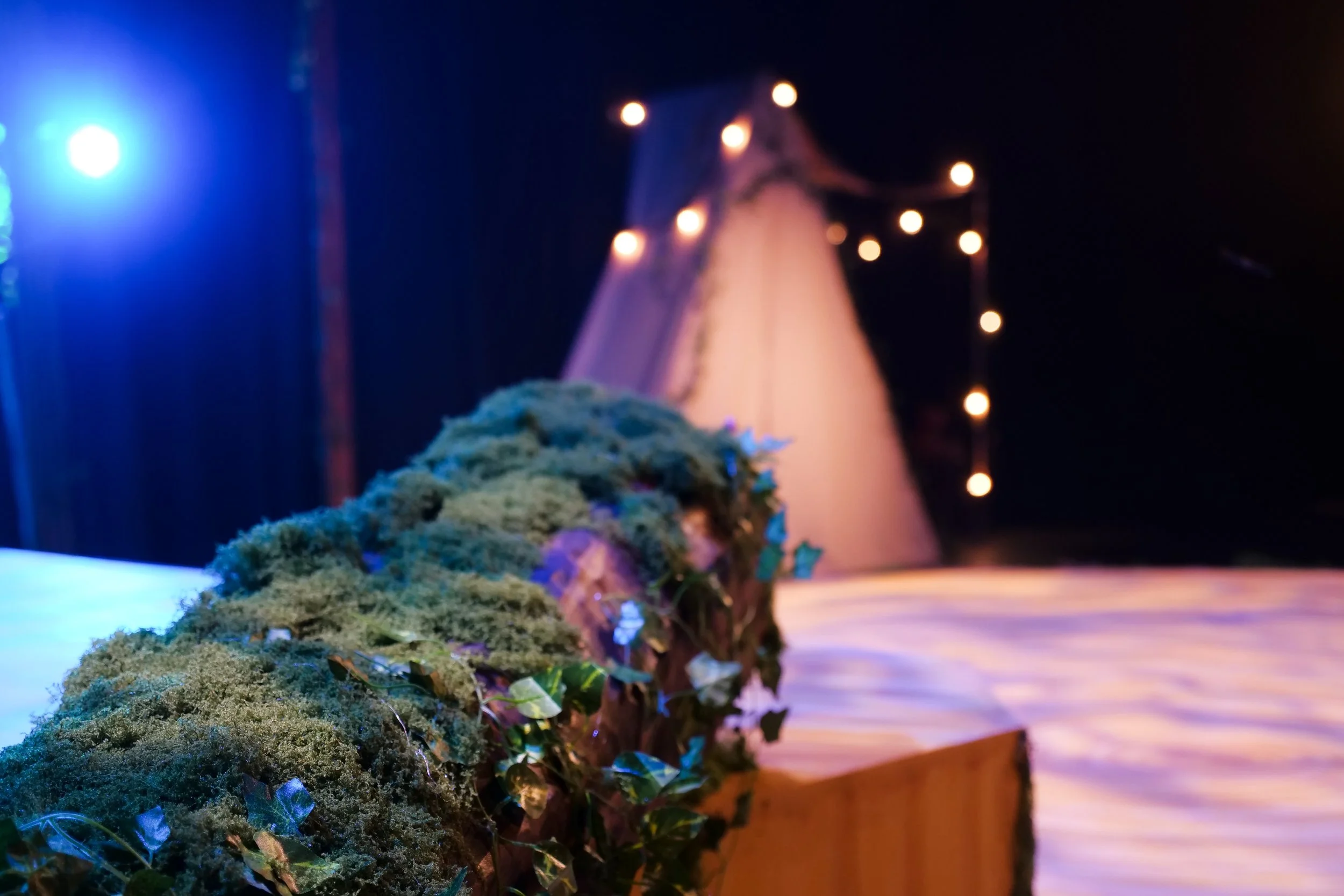 Robin Hood The Pantomime__Maeve O’Connell-6.jpg