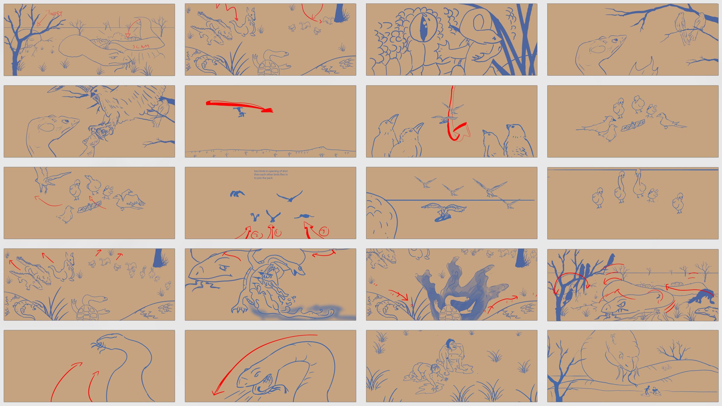 boards_9.jpg