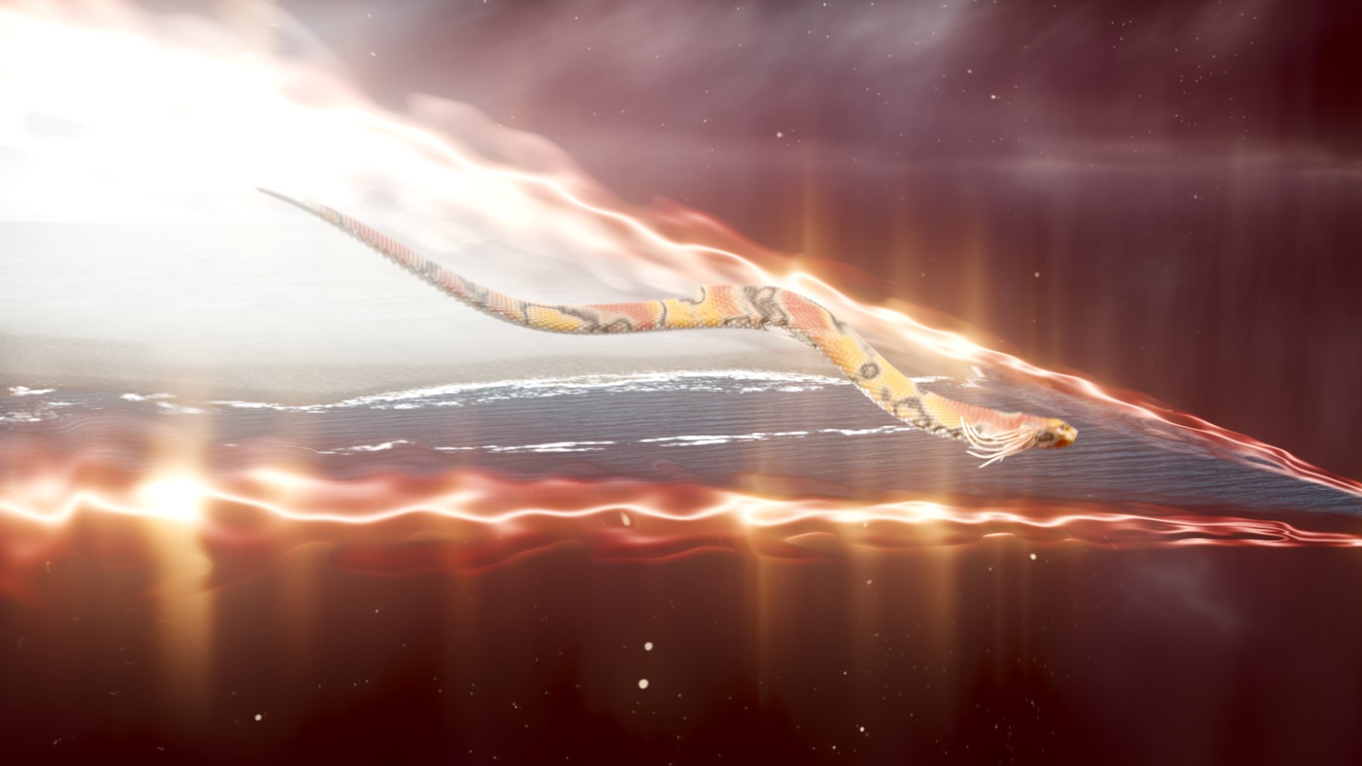K'Gari-Nangarim---2023_00000.jpg