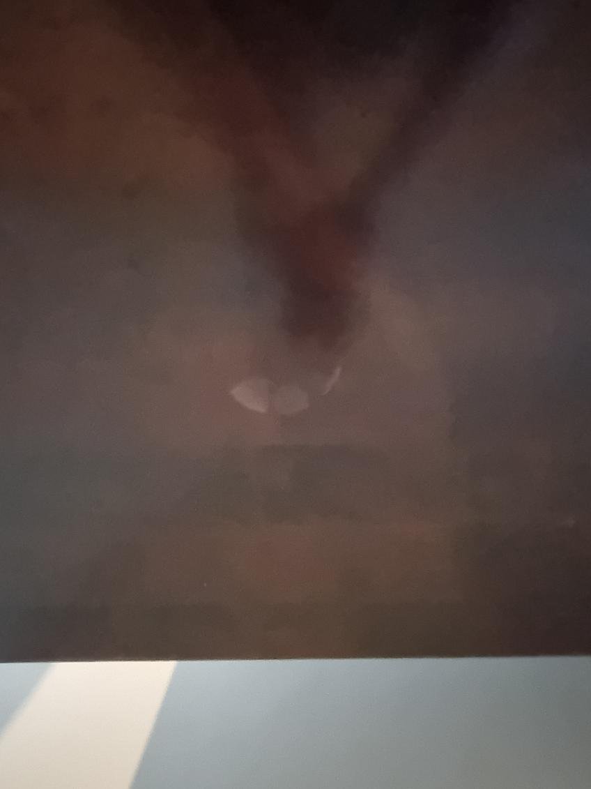 image9.jpeg