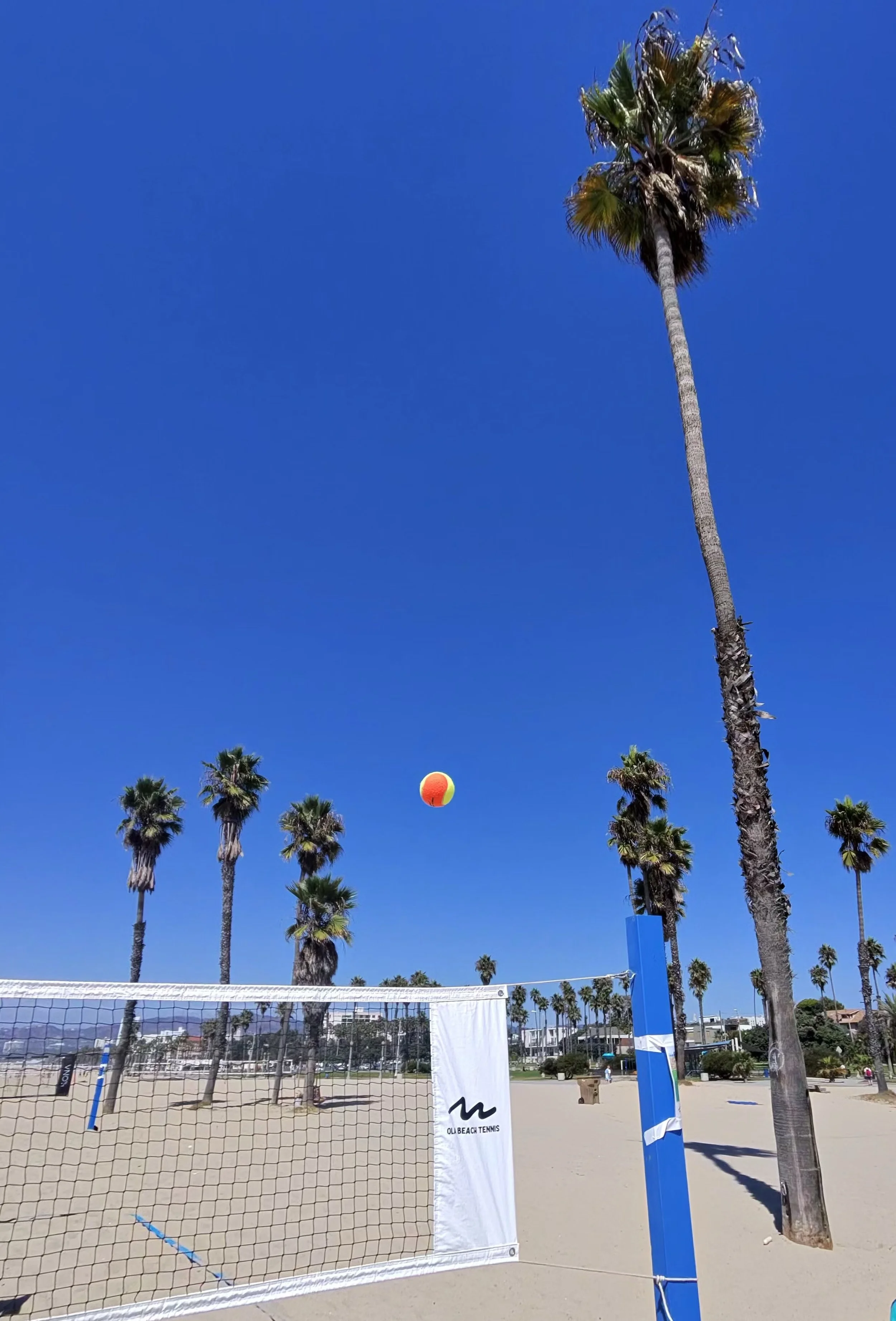 btl-ola-beachtennis-net-ball.jpg