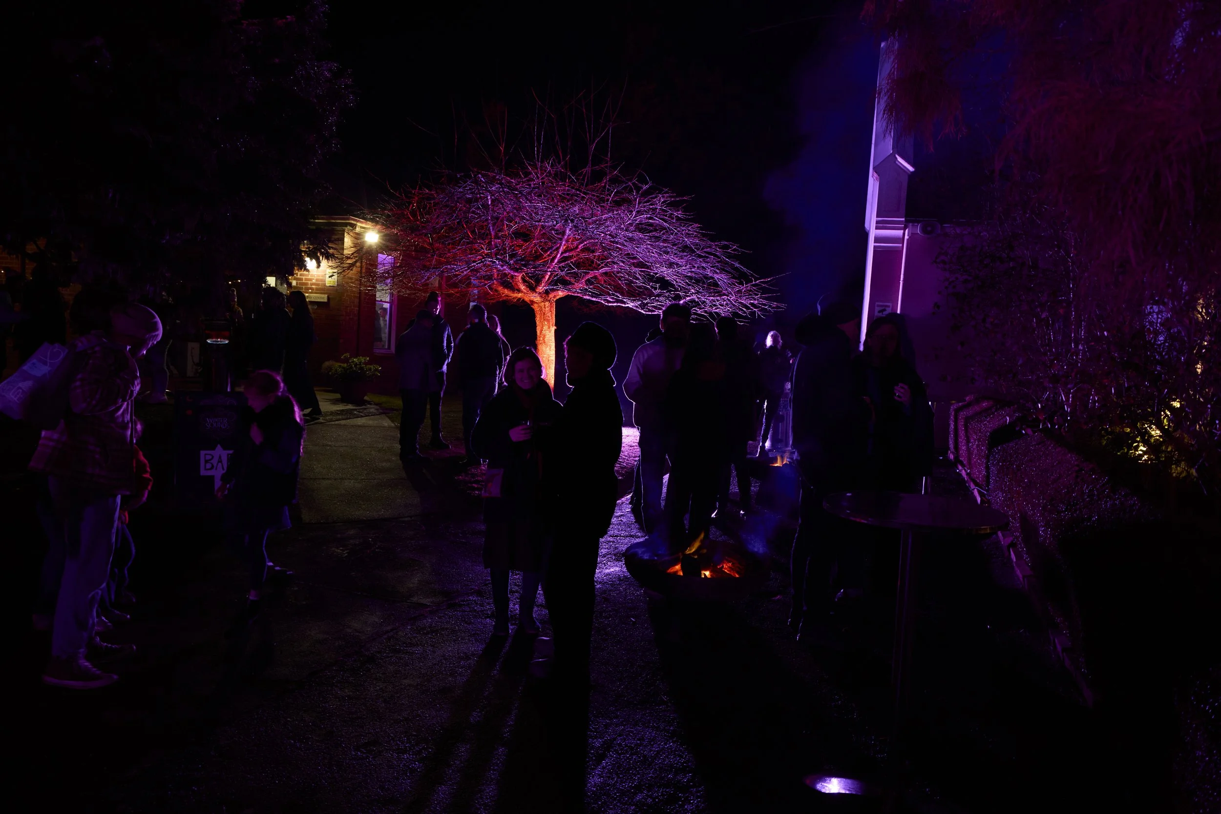 WinterSoundsFRI-07.jpg