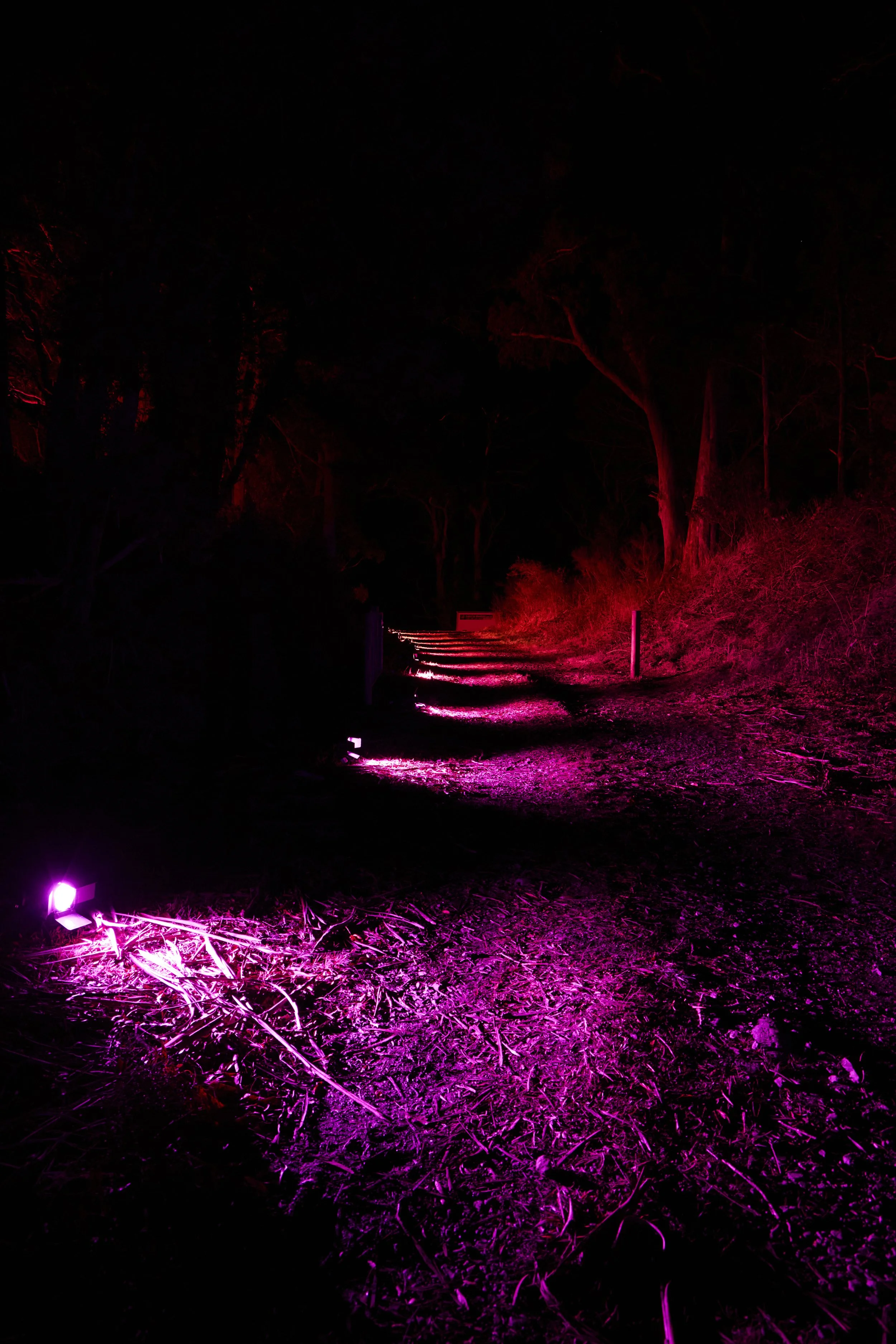 WinterSoundsSAT-21.jpg