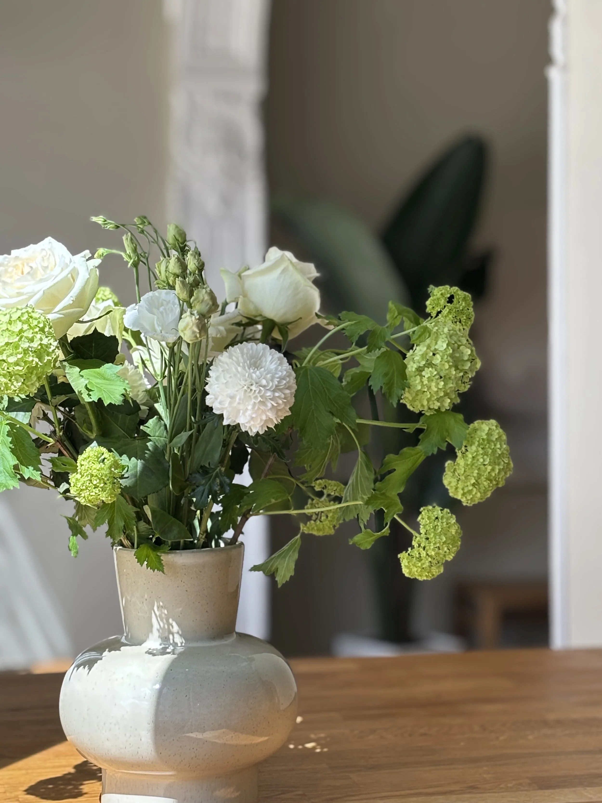 Anmeldung Newsletter Valencia