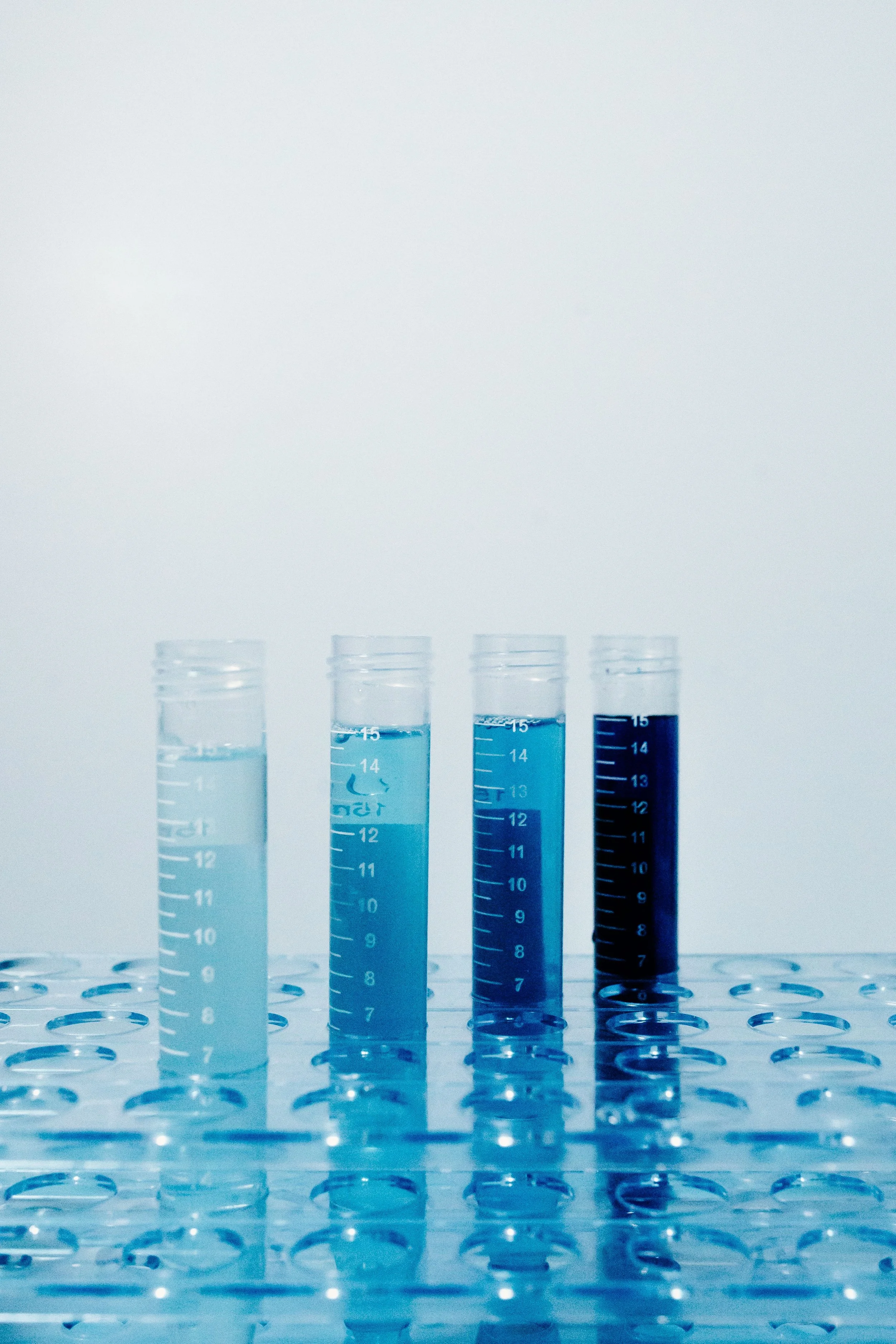 Starch Lens