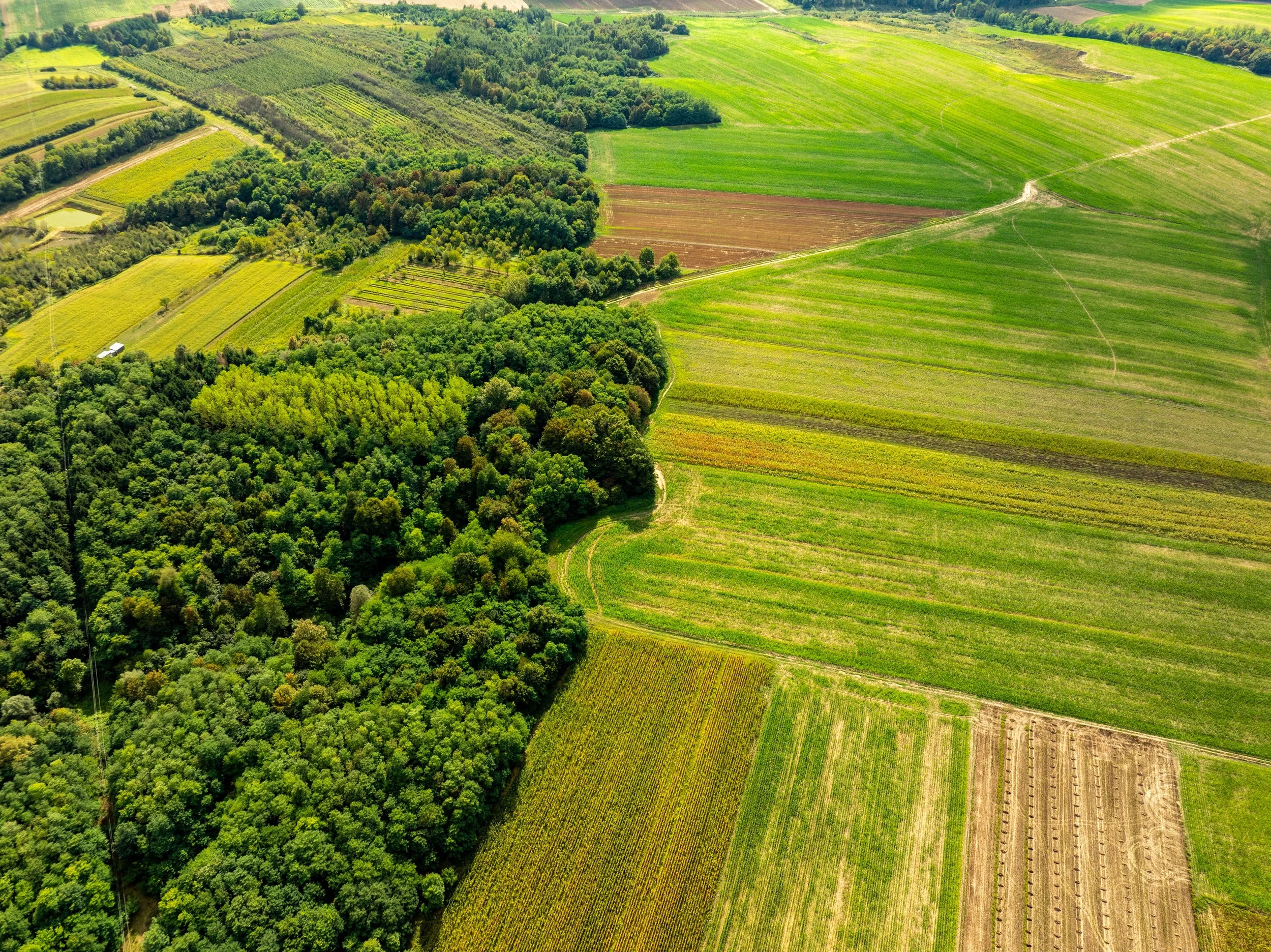 Regenerative Agriculture