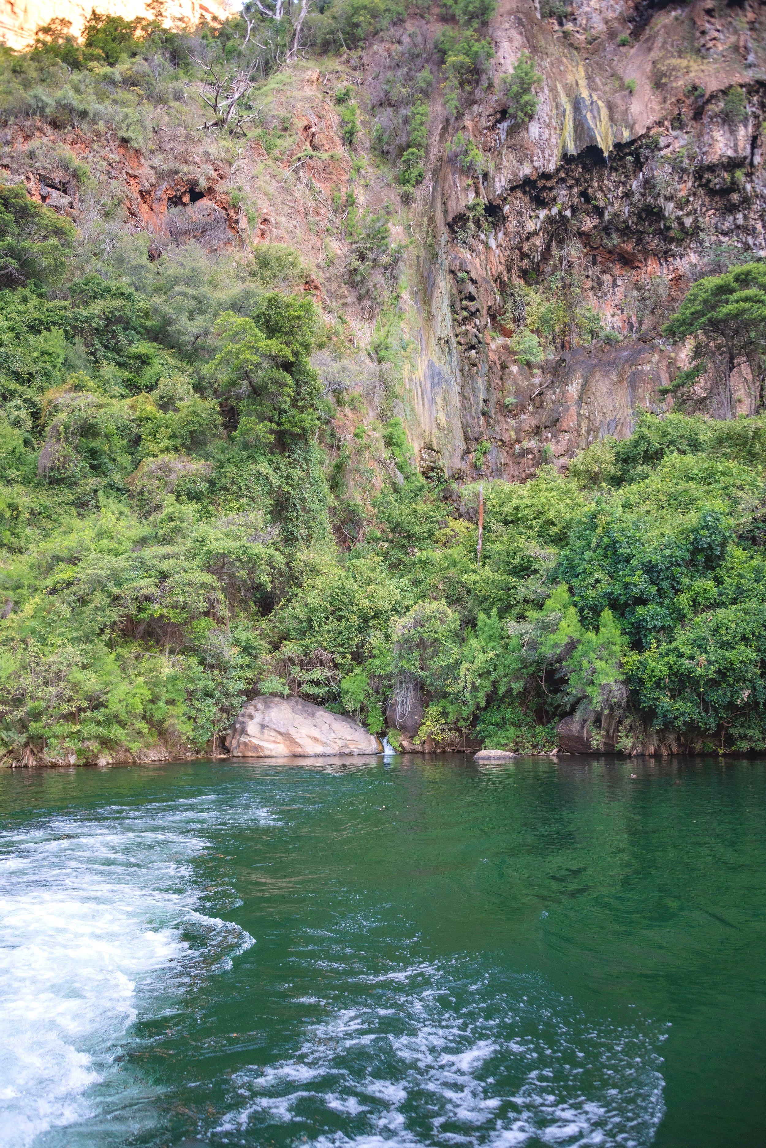 DSC_2403 (3)-min.jpg