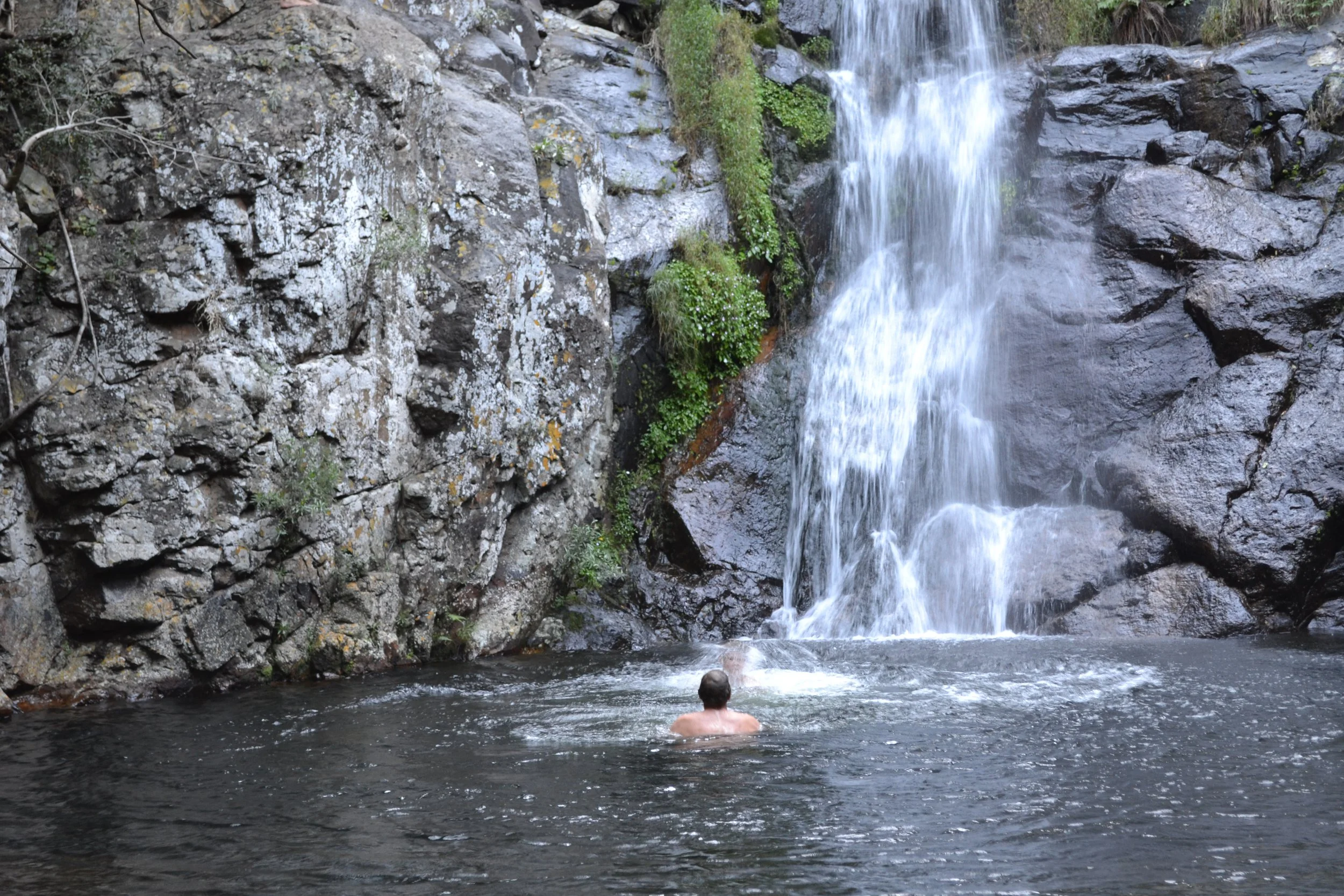 DSC_0699.jpg
