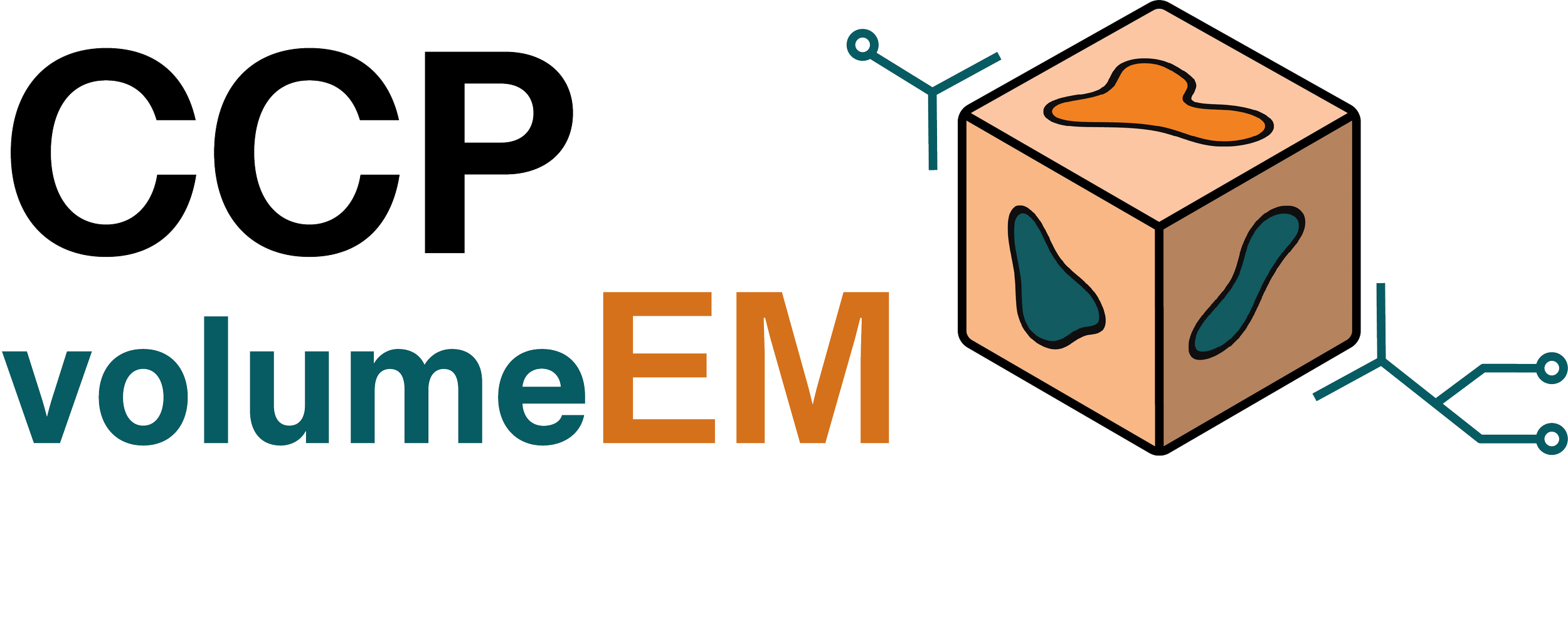 Logo with text "CCP-volumeEM" and an image of a 3D cube, stylised to look like analysed volume EM data