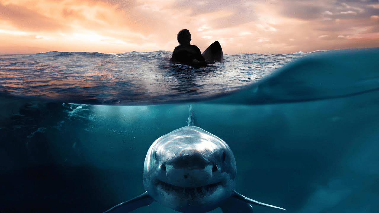 Gravitas "Great White Summer"