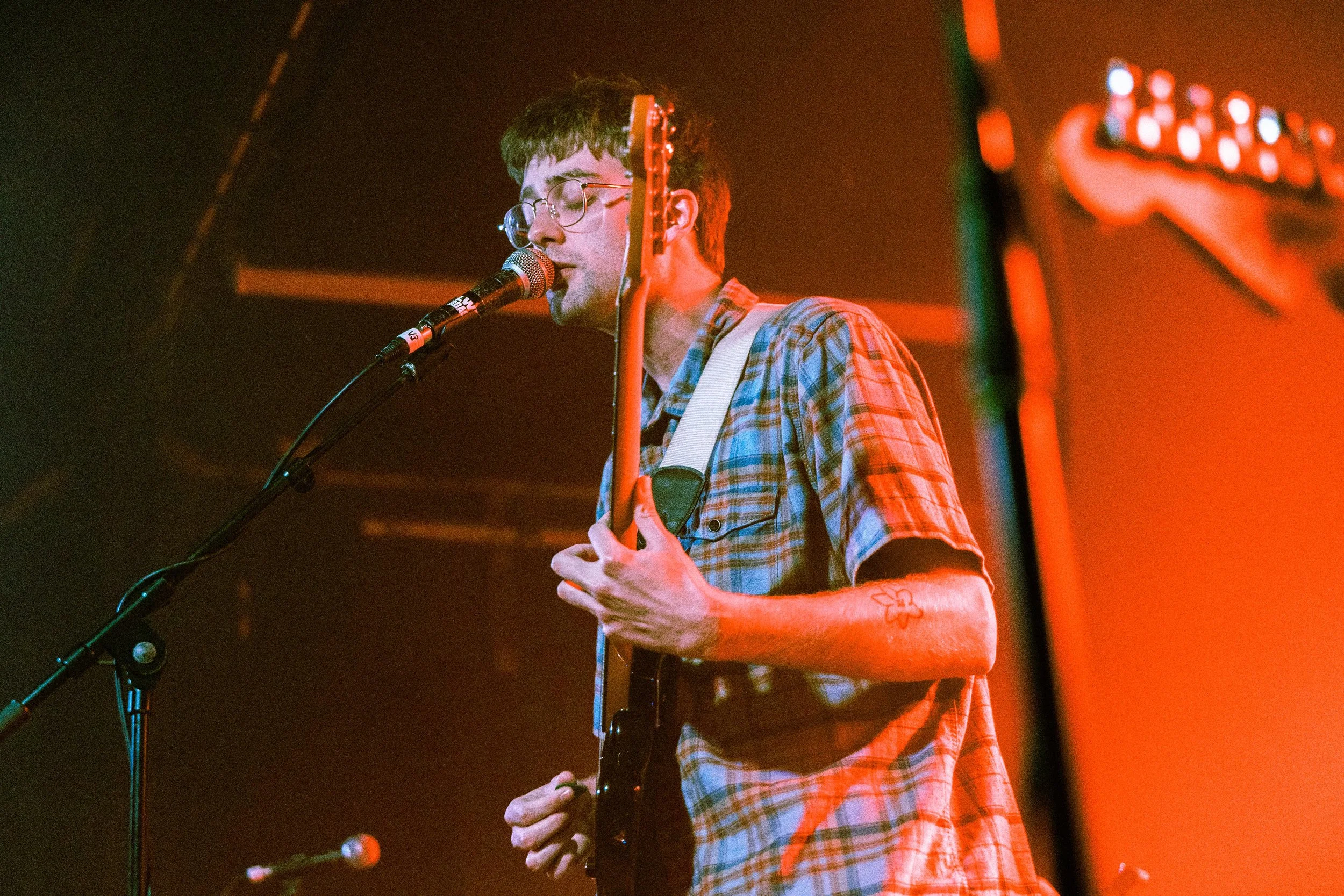 Photo: Ceirios Bebb / Glasshouse Red Spider Mite at Clwb Ifor Bach