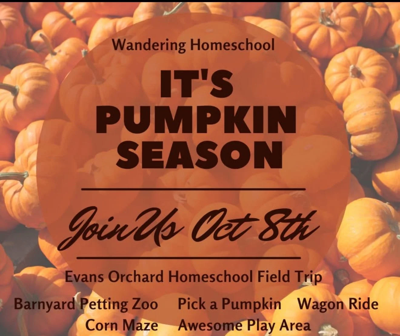 Pumpkin Time