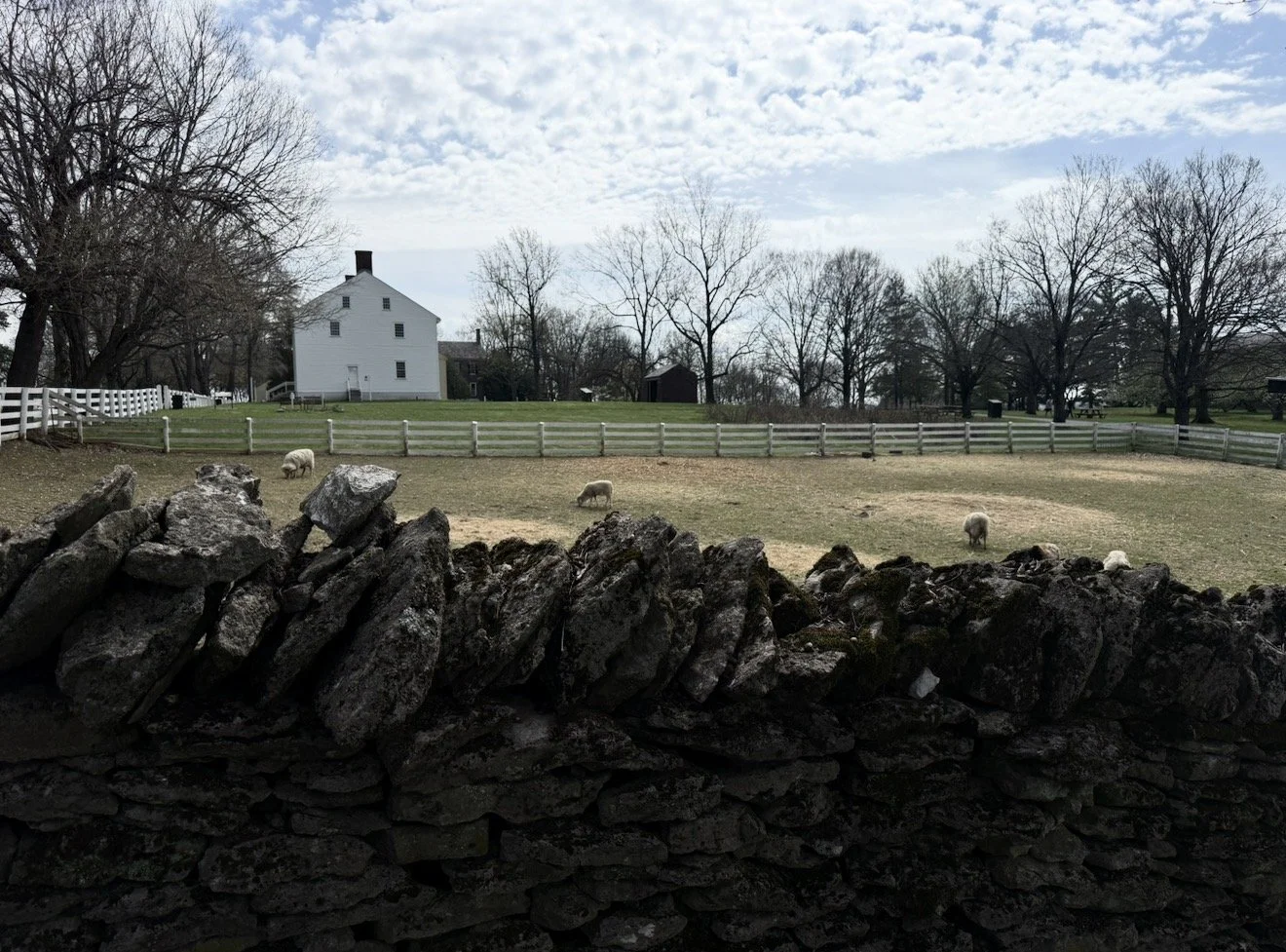 IMG_1316.jpeg