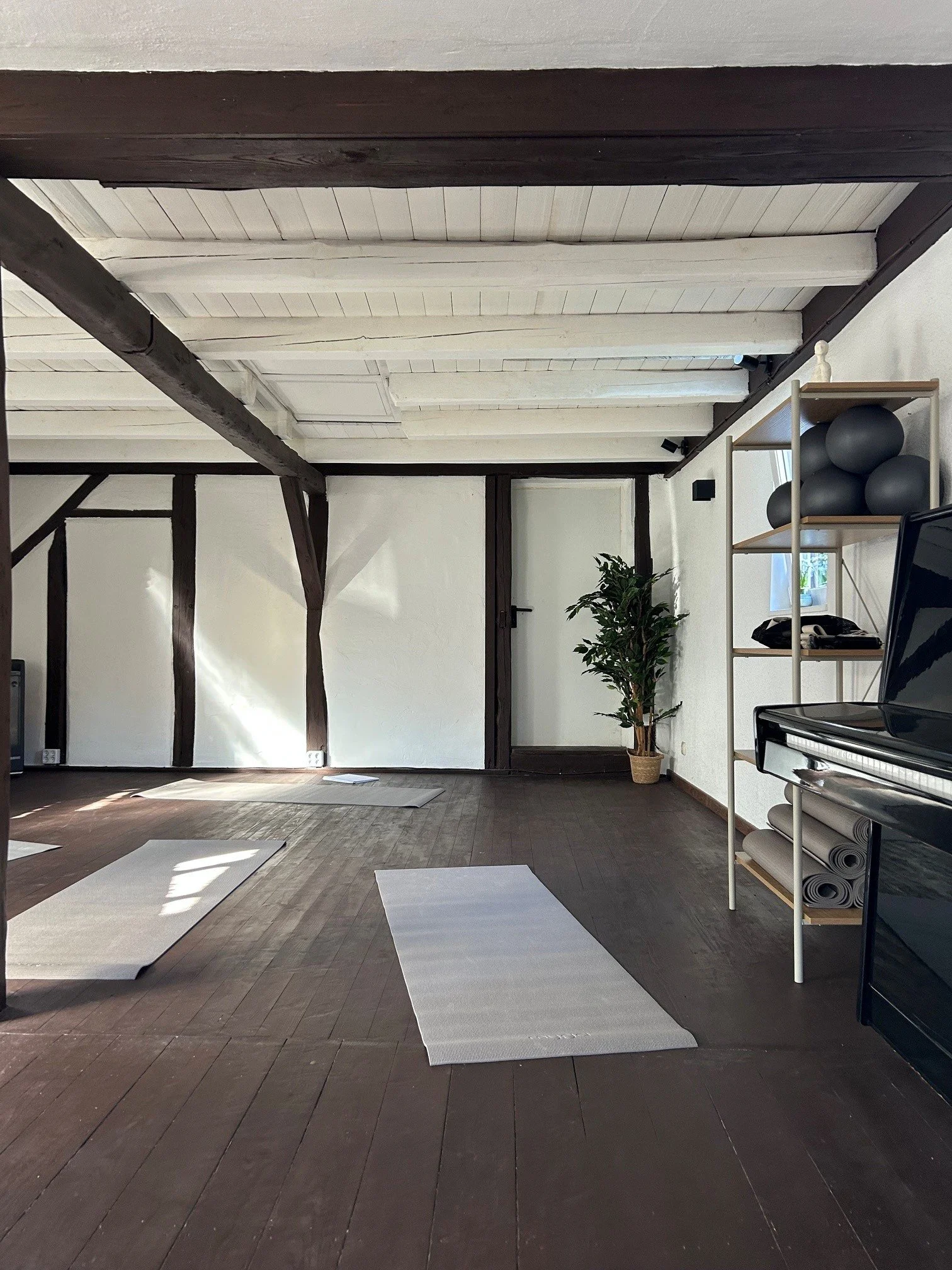 Ein Raum, der für Yoga oder Meditation vorbereitet ist. Es liegen mehrere weiche Yogamatten auf einem Holzboden, die sich für Übungen oder Meditation eignen. Im Hintergrund befindet sich eine Pflanze und ein Regal mit schwarzen Gymnastikbällen, Yogam