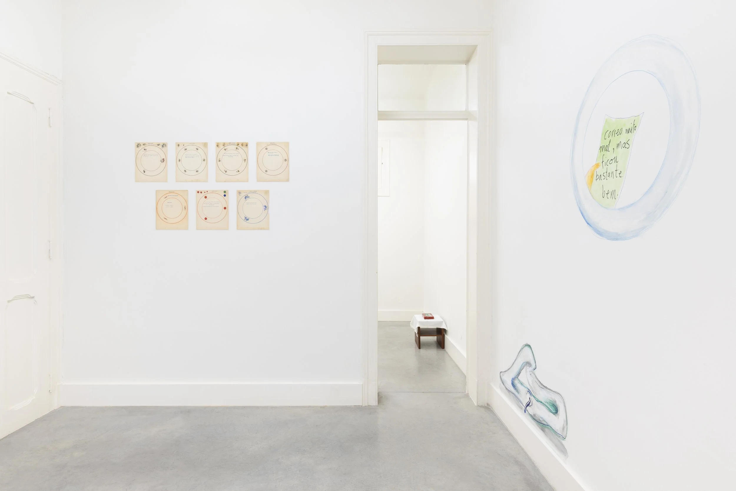 Ana Jotta—La Ronde