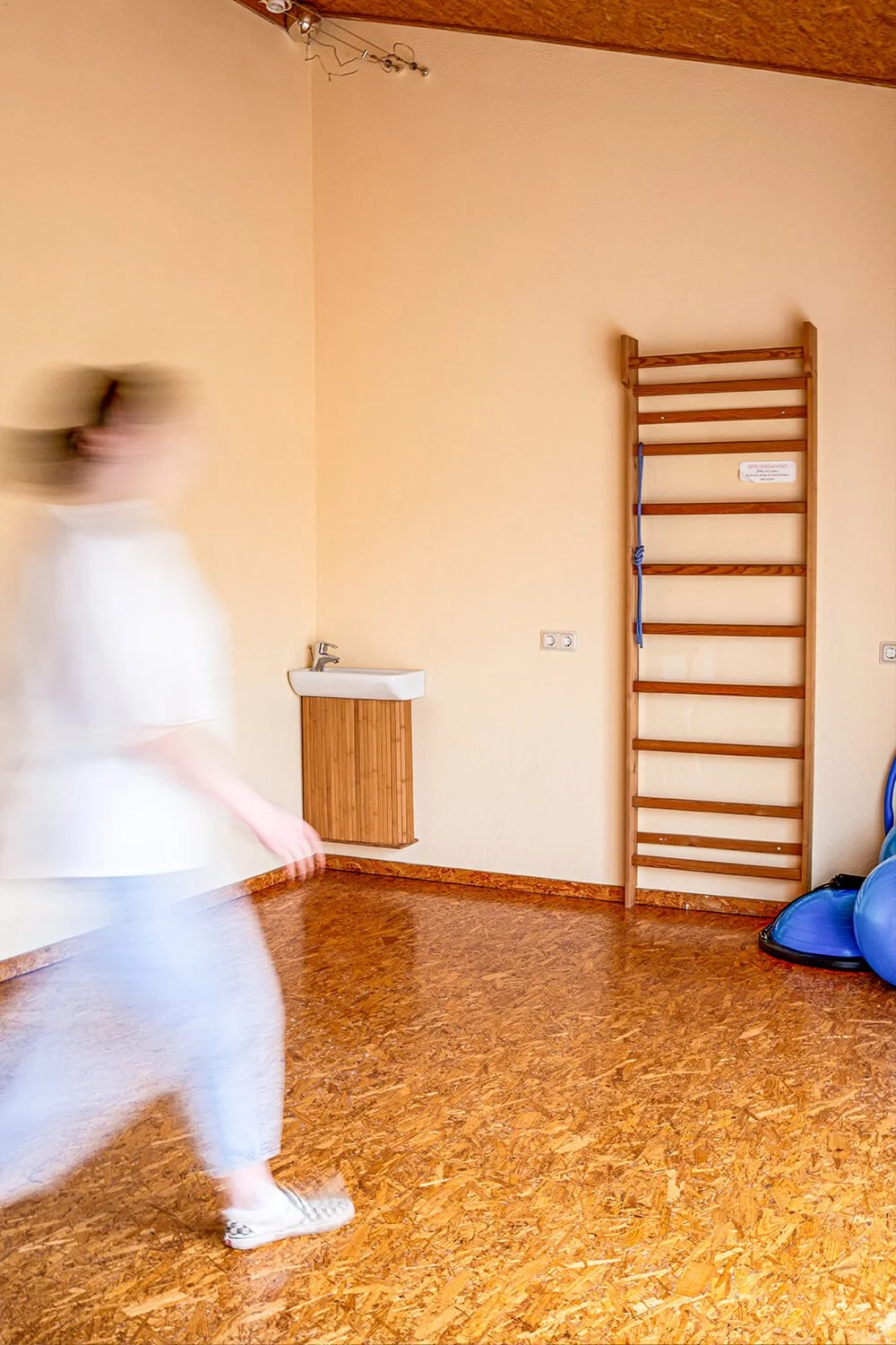 ergotherapie-lauer-klein-weiskirchen-leiter.jpg