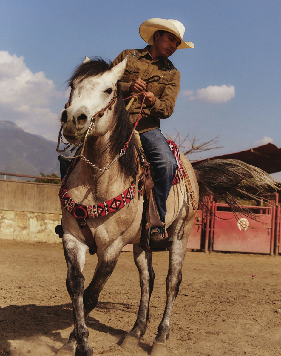 Screenshot 2026-02-03 at 20.02.06.png