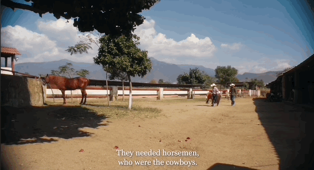 Charro 6.gif