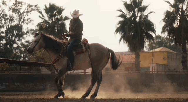 Charro 14.gif