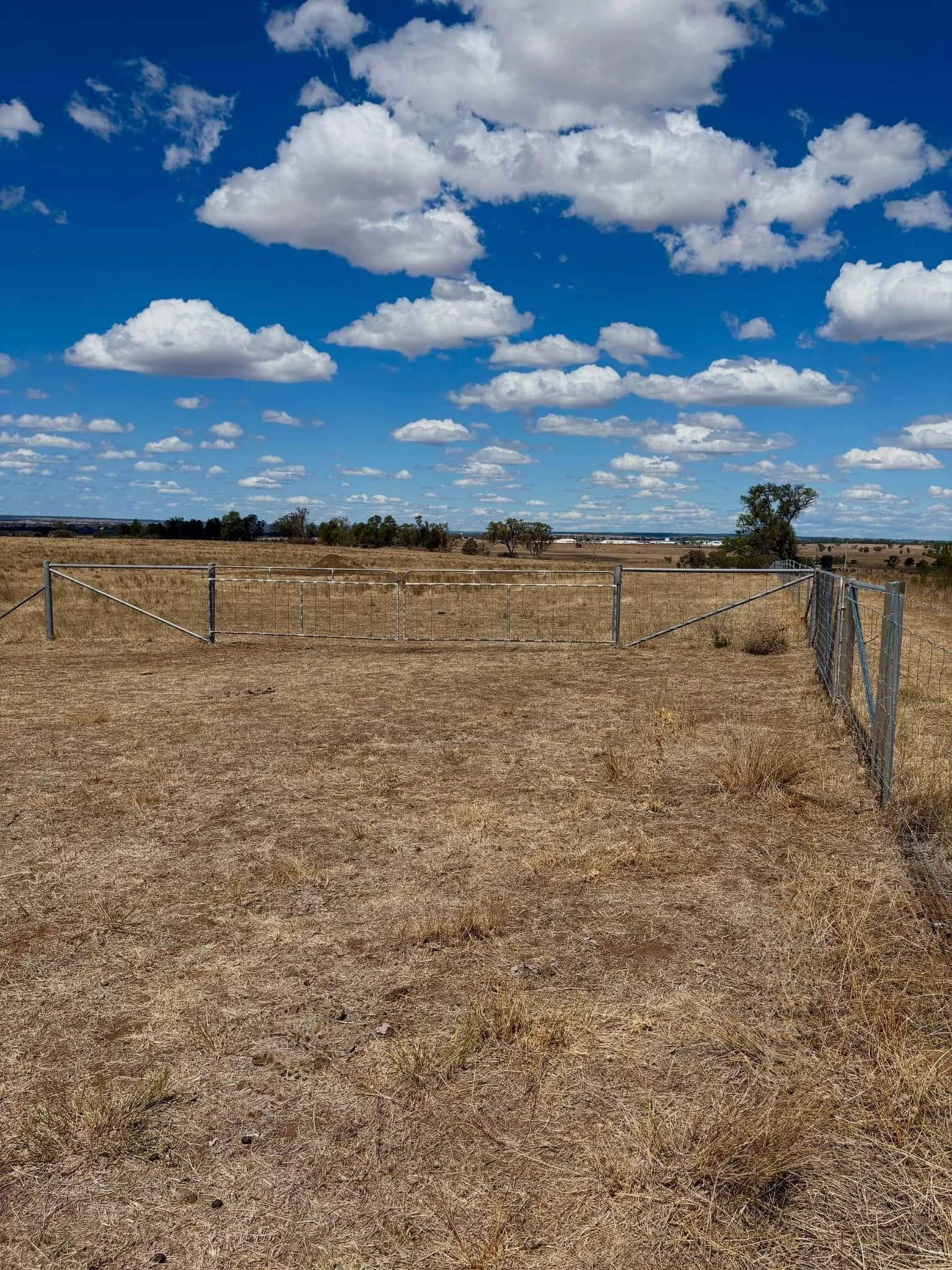 Double swinging farm gate installation with end assemblies, agricultural fencing contractors Northern Rivers NSW