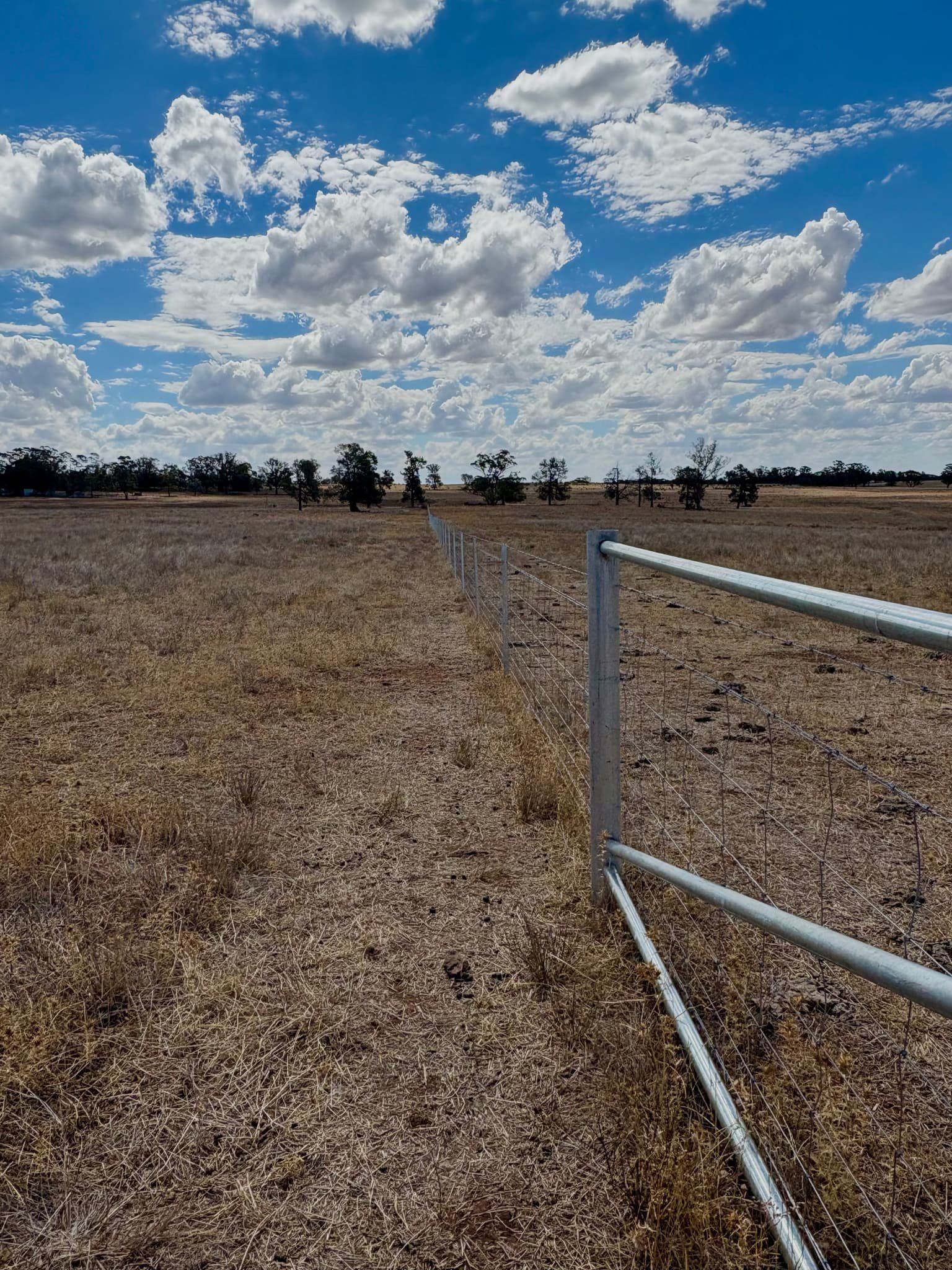 Straight hinge joint and barbed wire fenceline with end assembly across open farmland, rural fencing contractors NSW