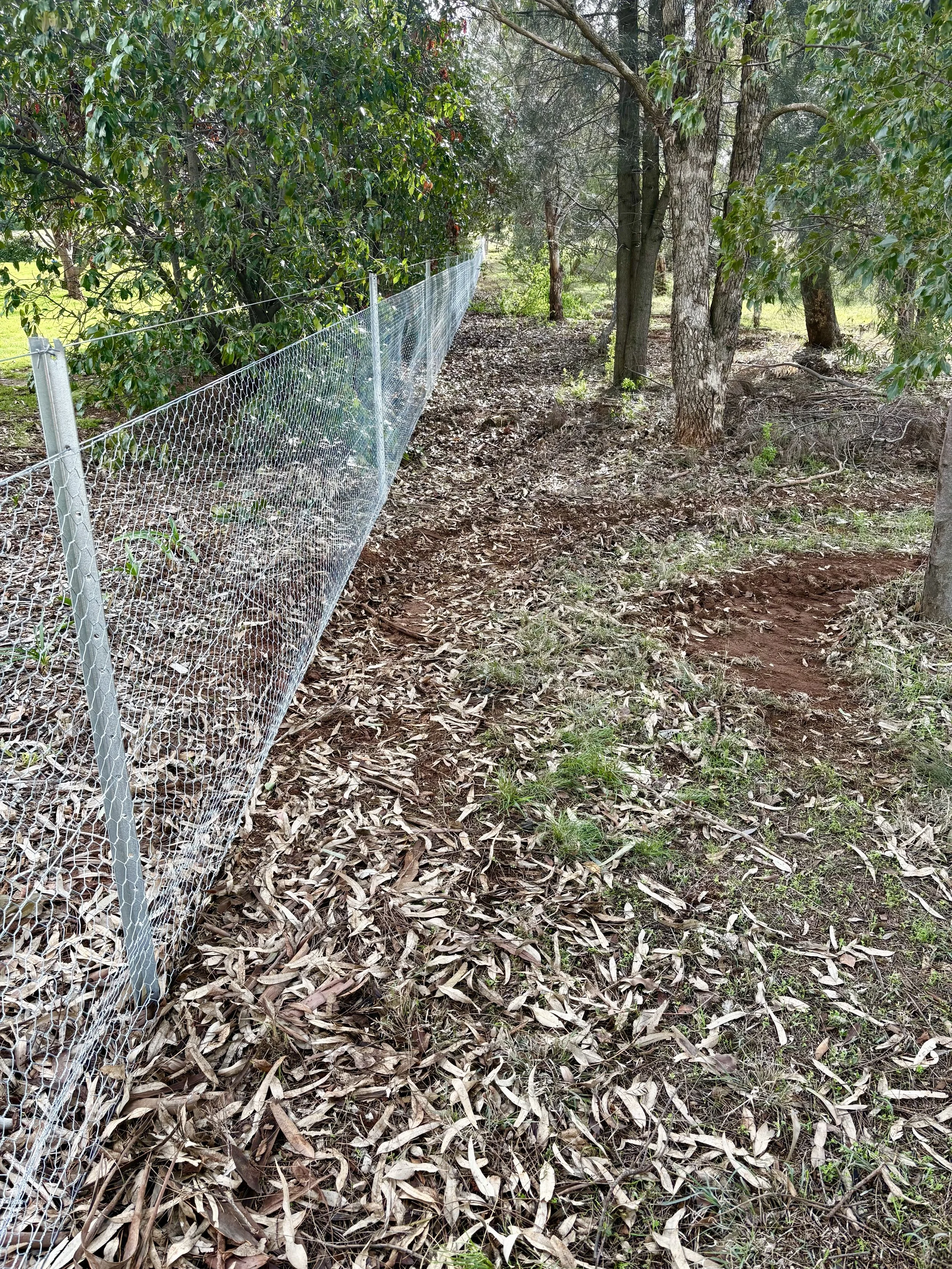 New installation of wire netting boundary fence in Clarence Valley NSW 