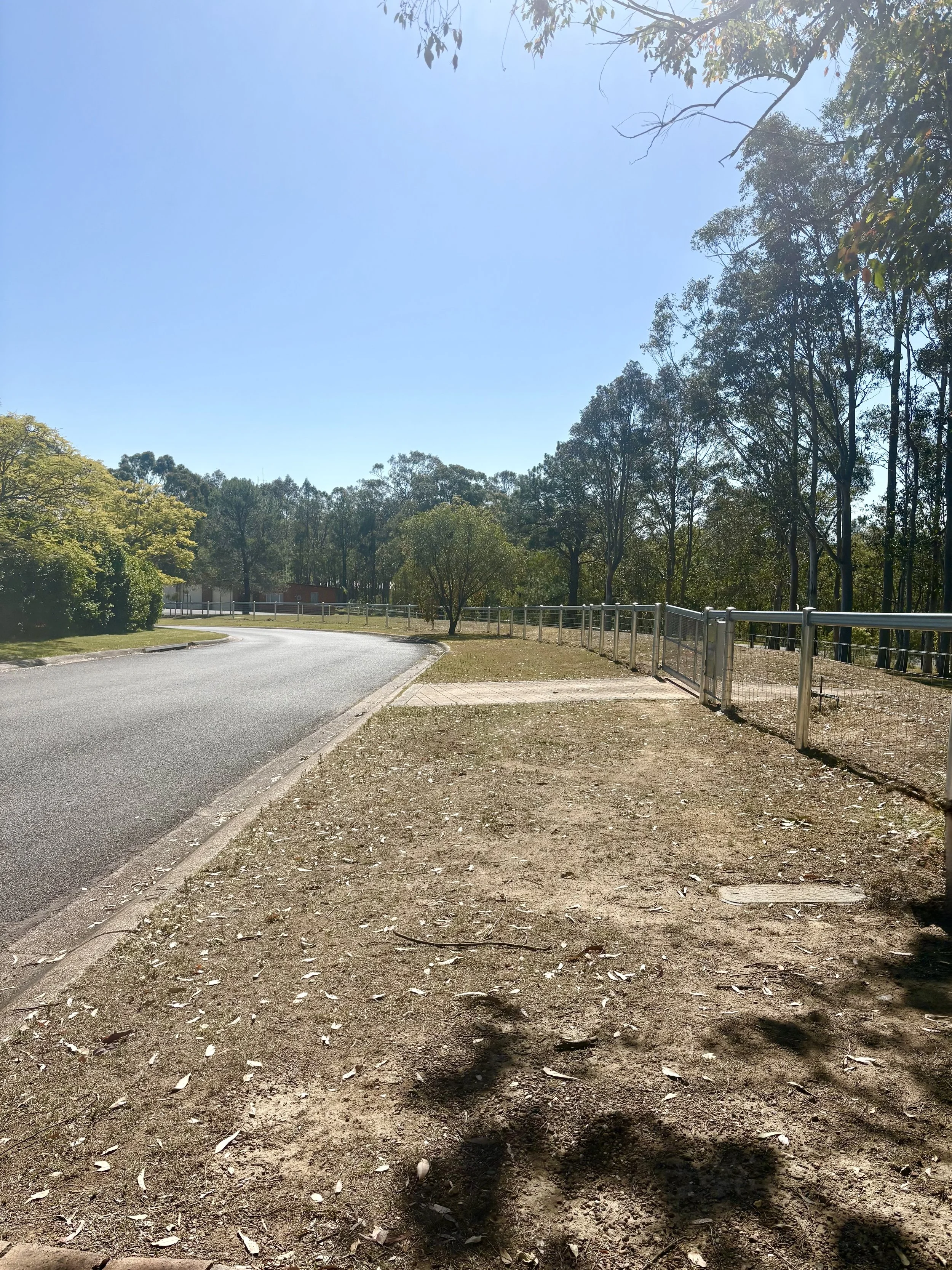 New work post and rail front fence view with custom gate rural fencing design