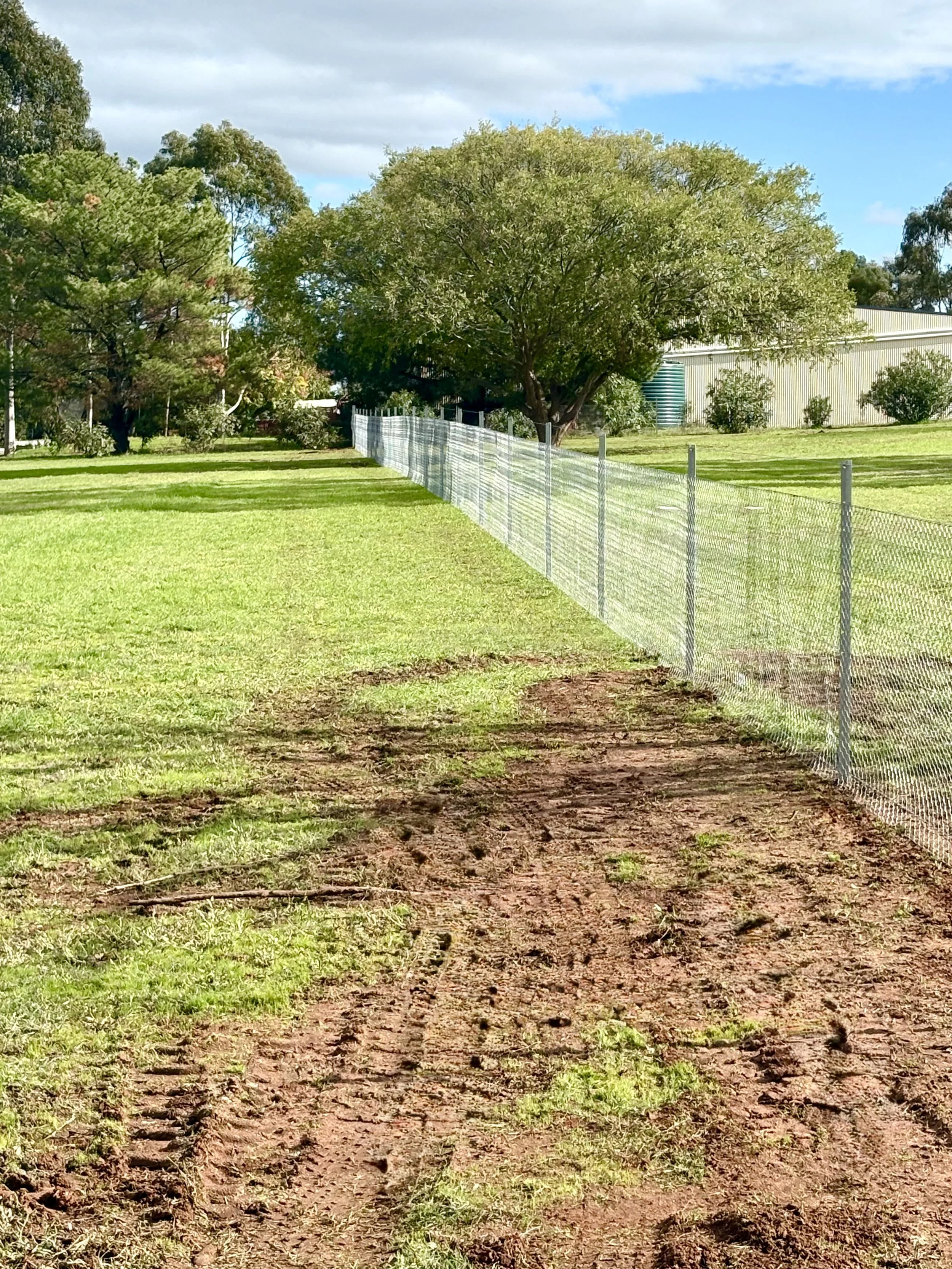 Chicken wire netting fence ideal to keep small animals inside your boundary