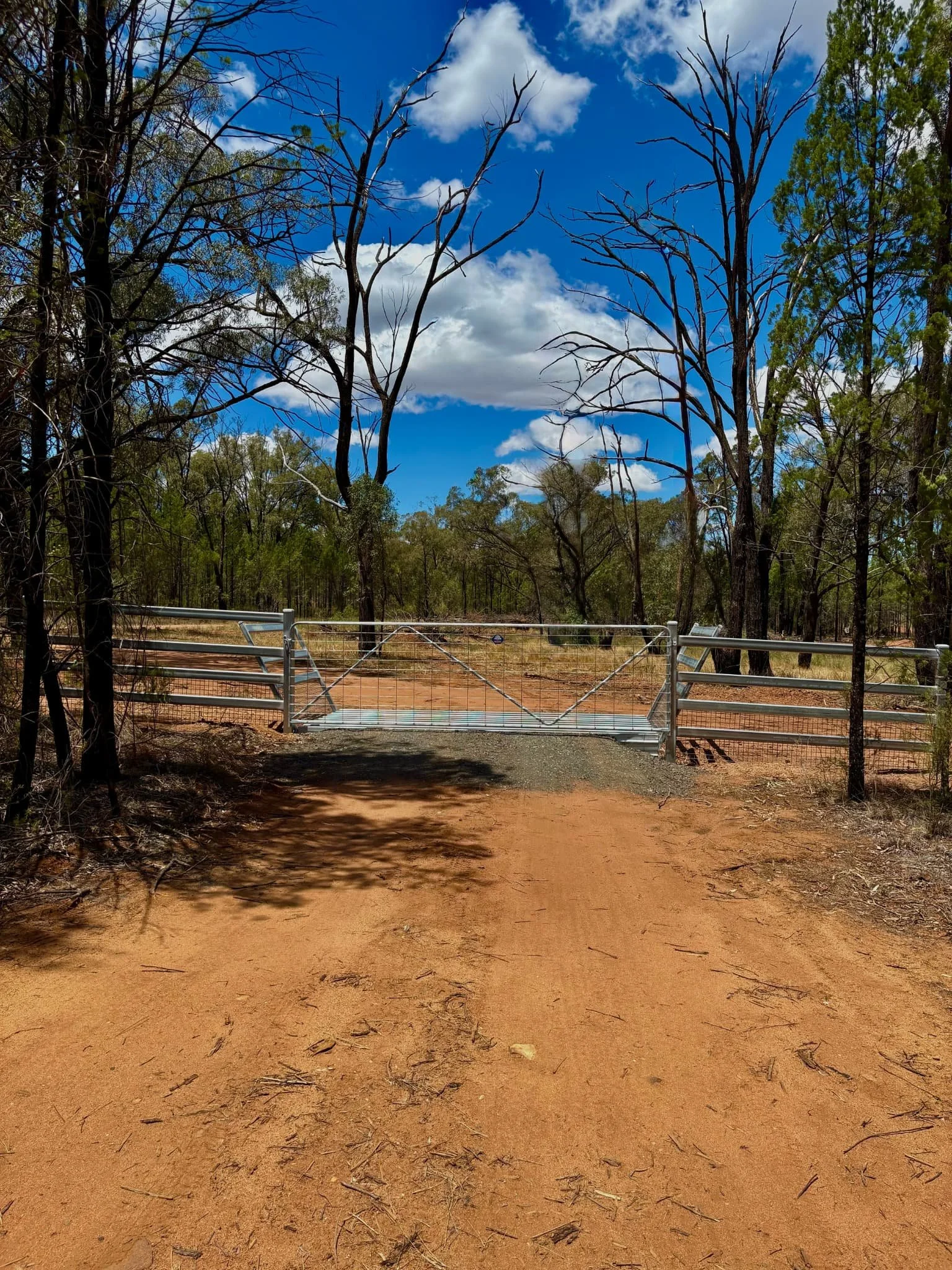 Galvanised swinging gate entrance with cattle grid and cattle rain on rural bush property, TG Wheeler Contracting NSW