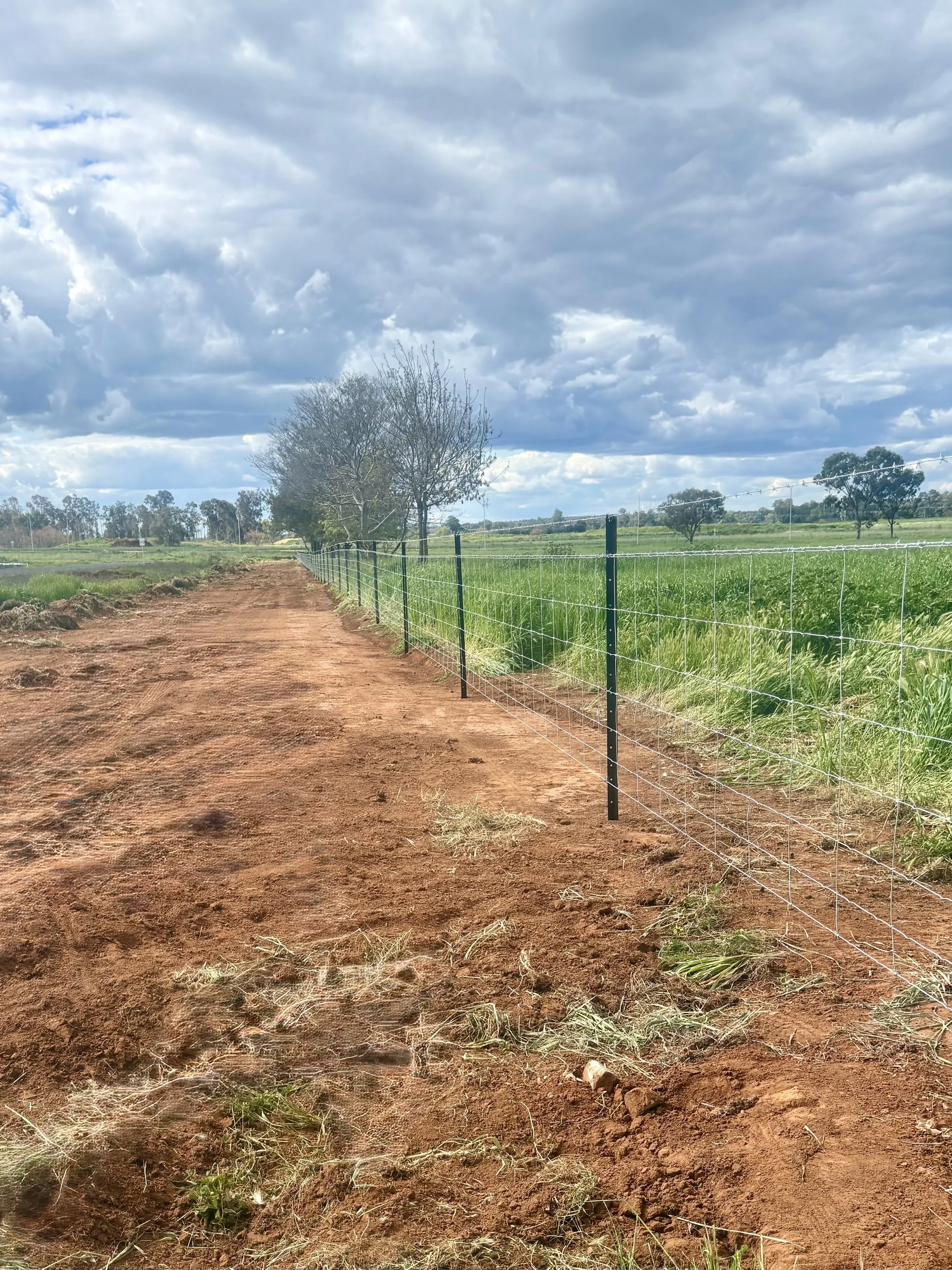 Recent rural stock proof fencing installation by TG Wheeler Contracting